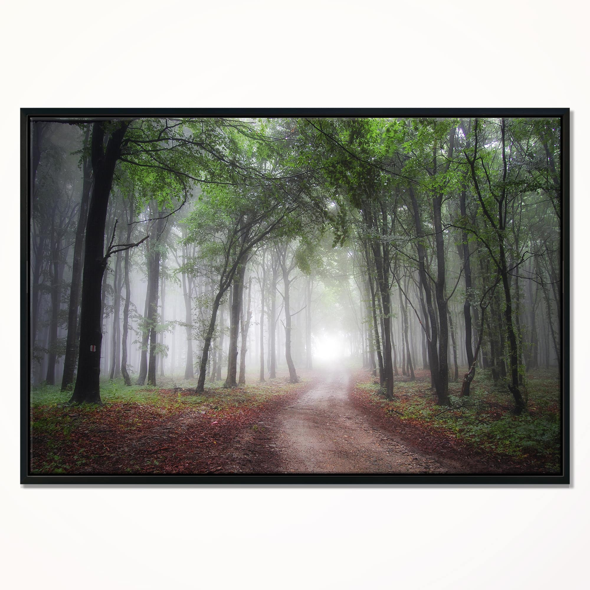 Designart - Light Through Green Fall Forest - Landscape Photography Canvas Print in Black Frame