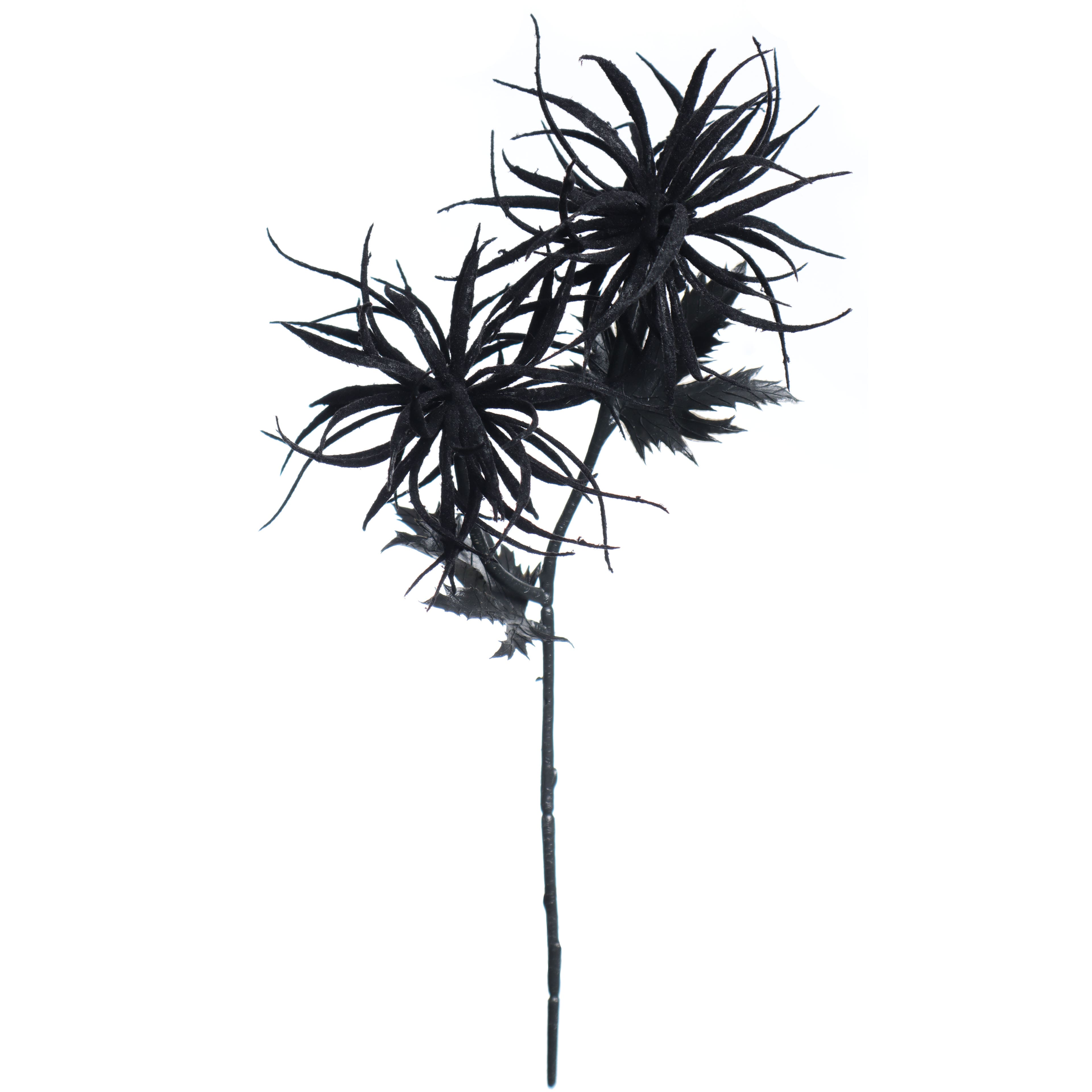 12" Black Airplant Pick by Ashland.