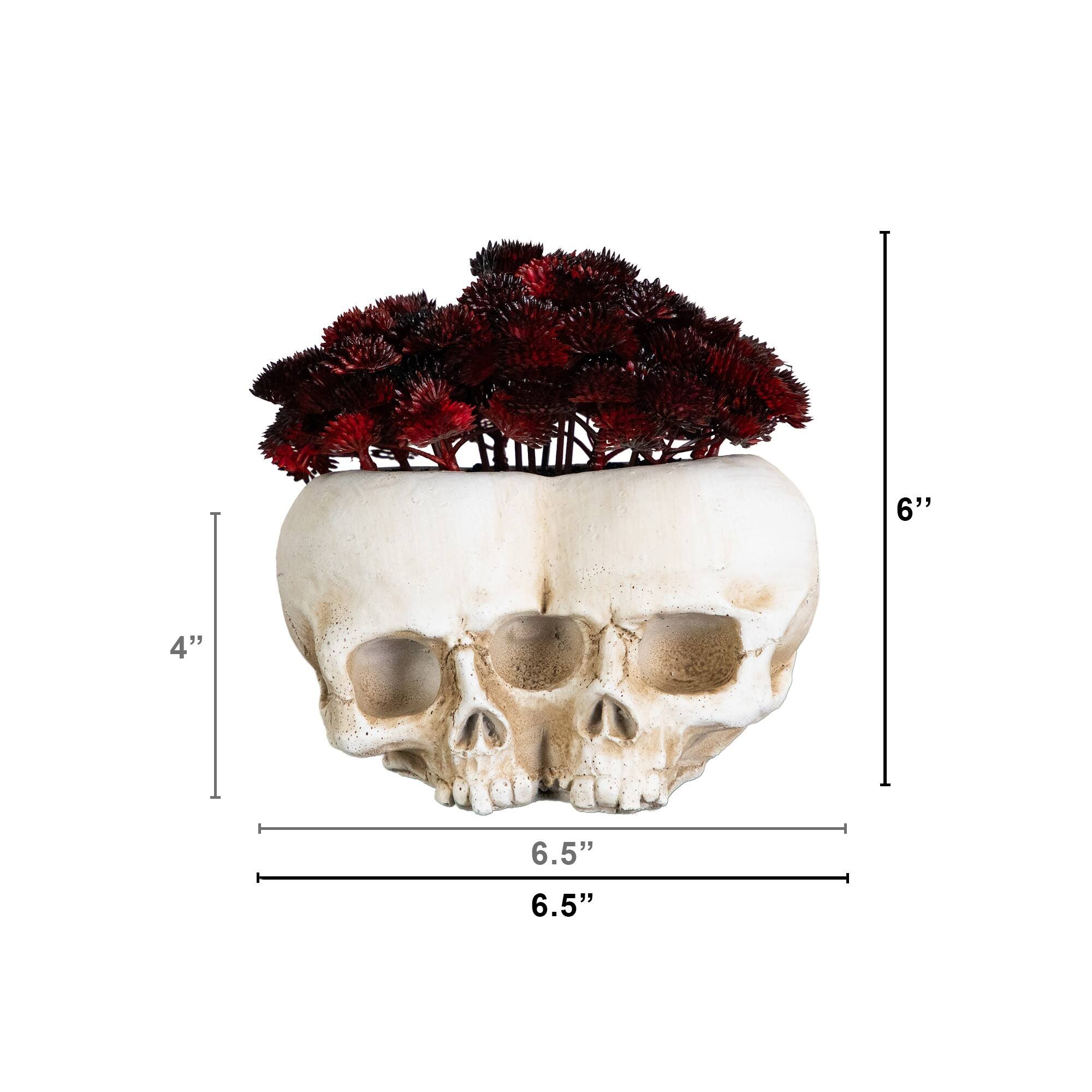 6" Artificial Halloween Succulent Plant in Double Skull Planter