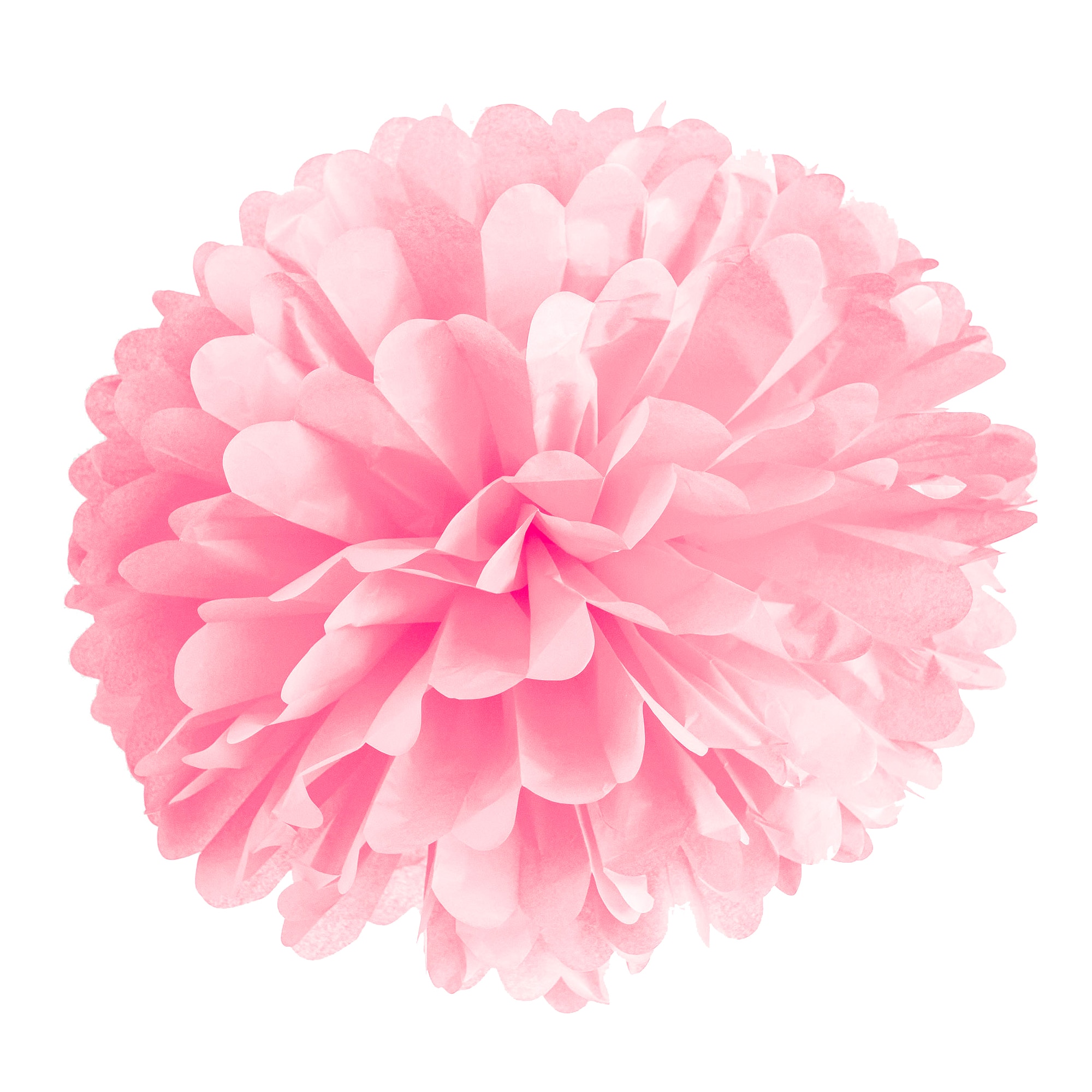 Pompons en papier rose clair de Celebrate It