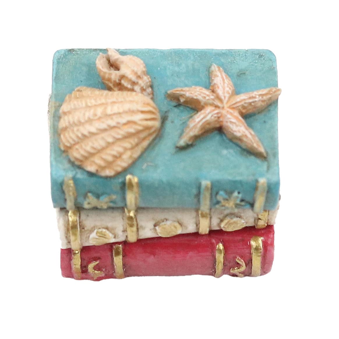Mini Shells on Books Decoration by Ashland®