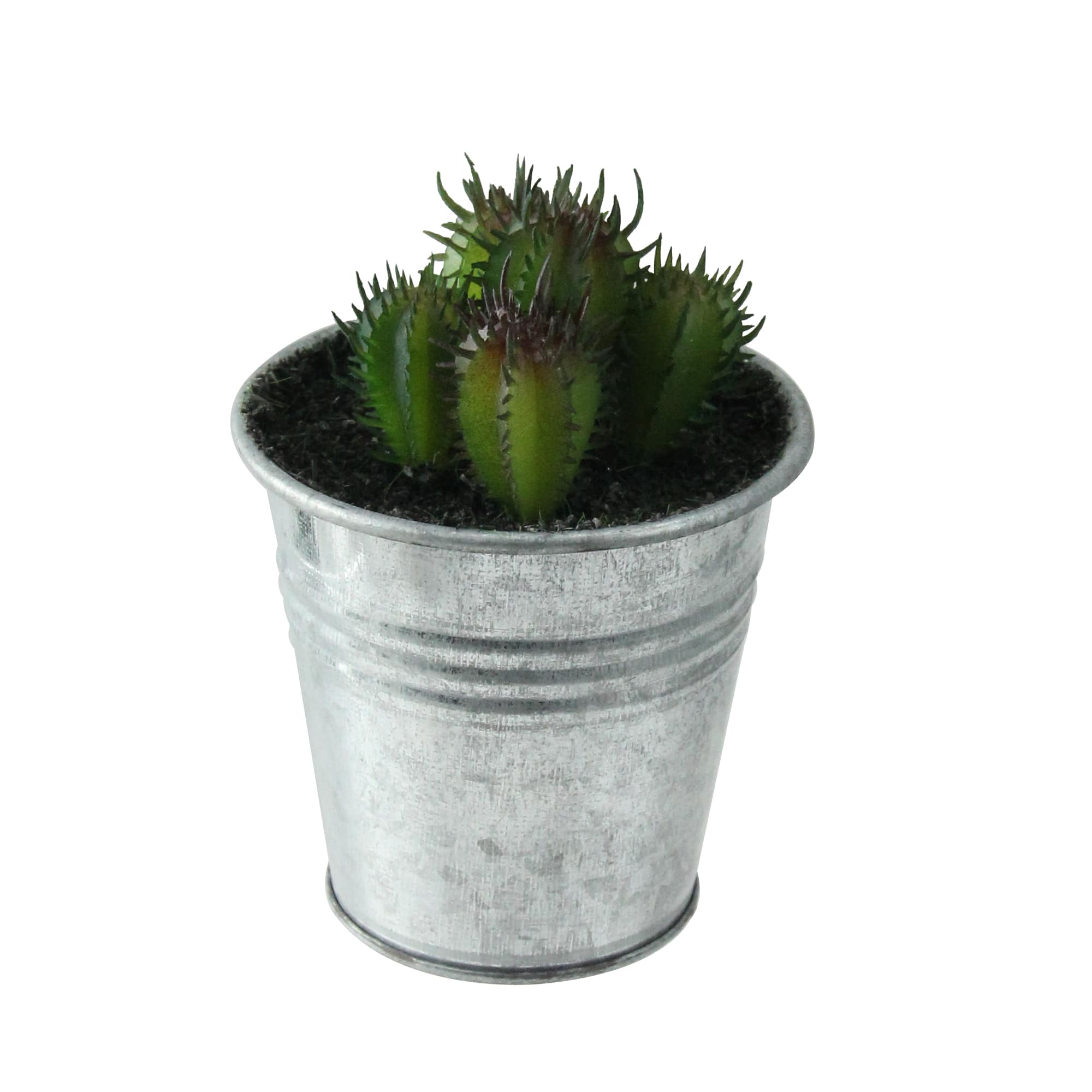 3.5" Green Mini Cactus Plants in Tin Pot By Northlight in Silver | Michaels®