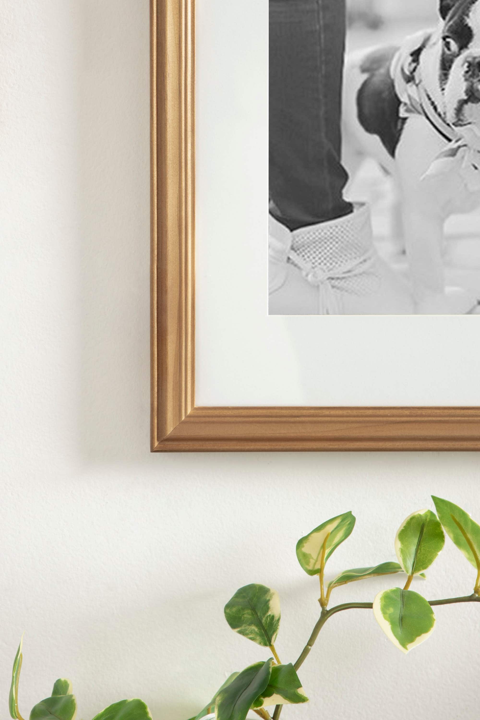 Kate and Laurel Bordeaux Gallery Wall Frame & Shelf Set