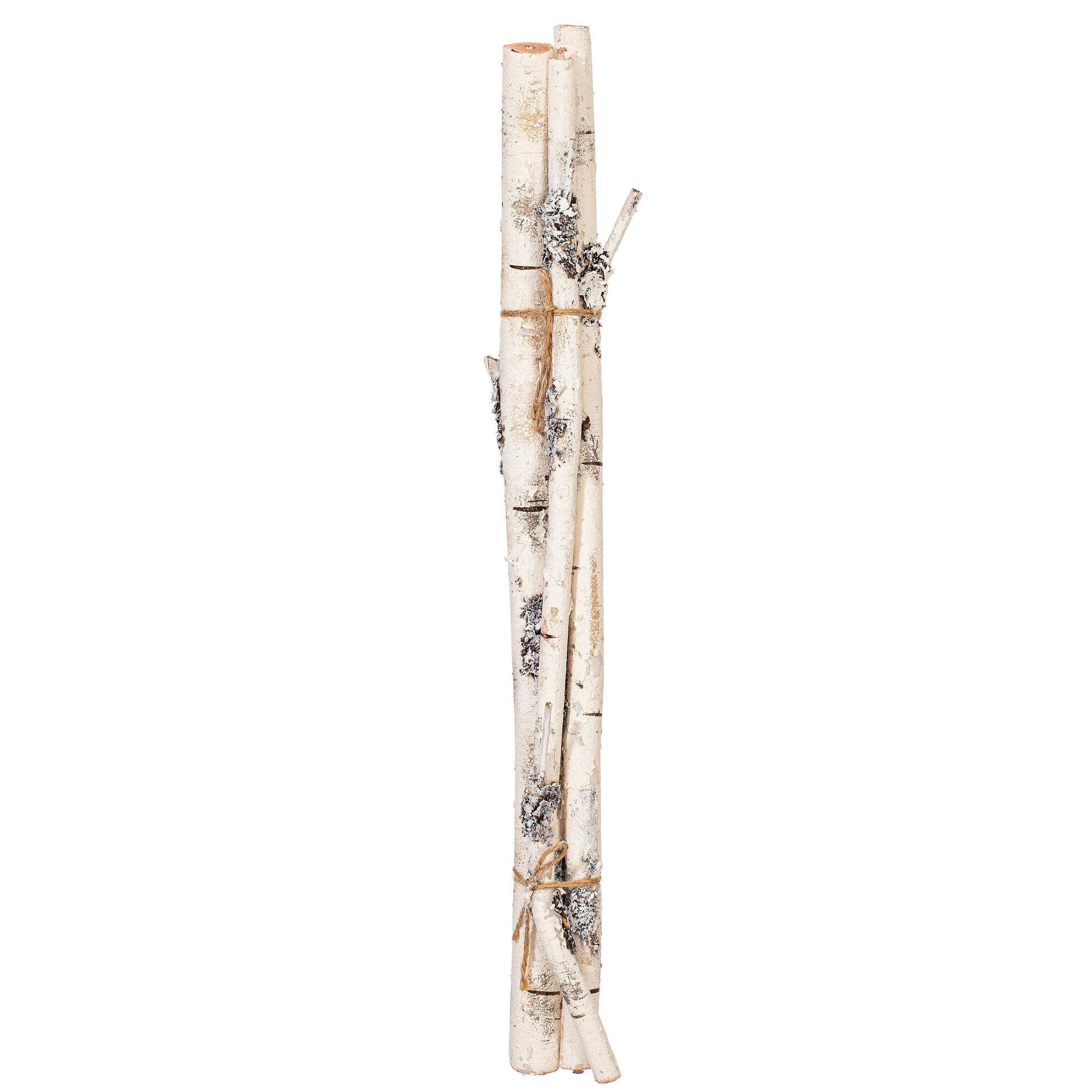 Vickerman 23" Artificial Birch Branches, 3ct.