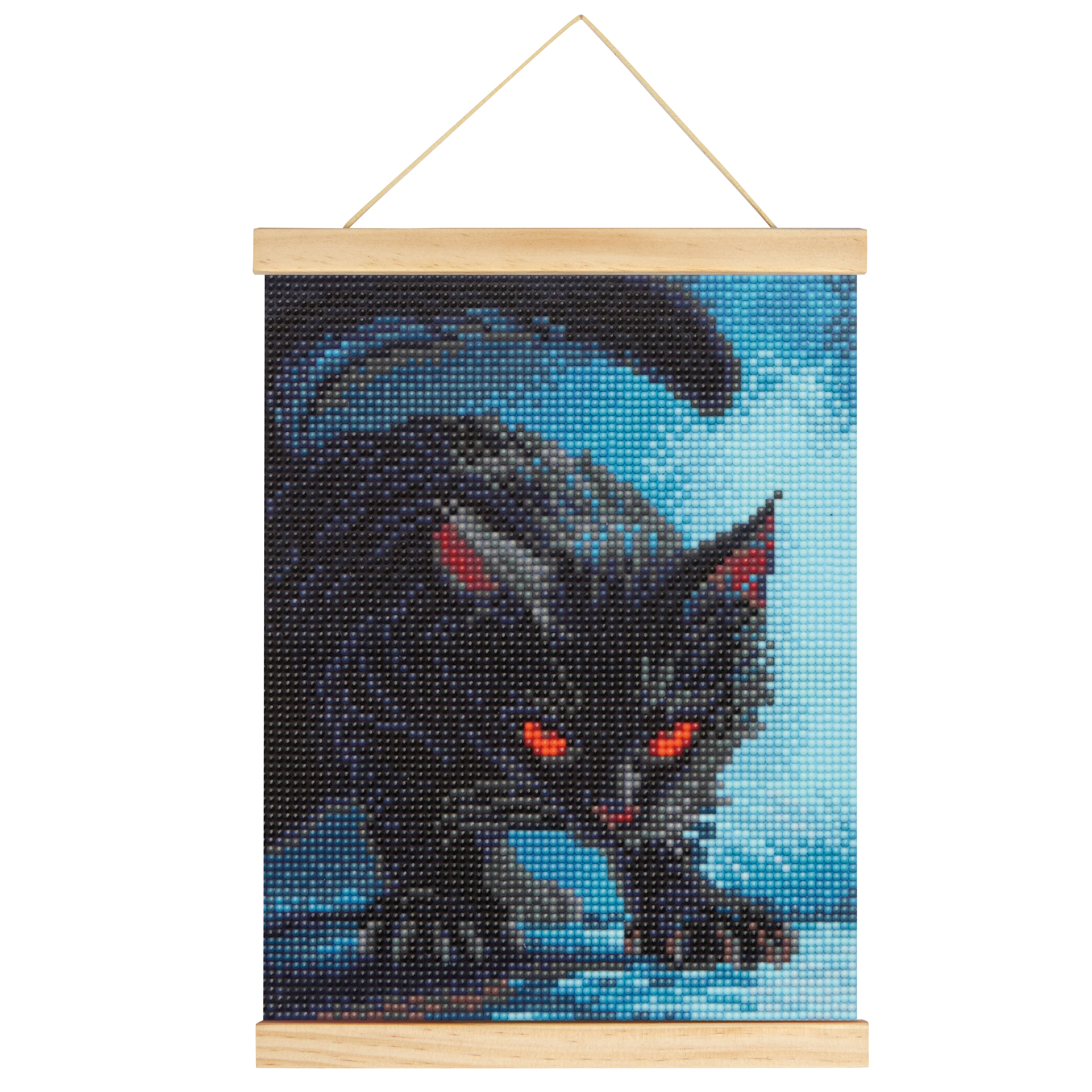 8" x 10" Black Cat Diamond Art Kit with Magnetic Wood Frame by Make Market®