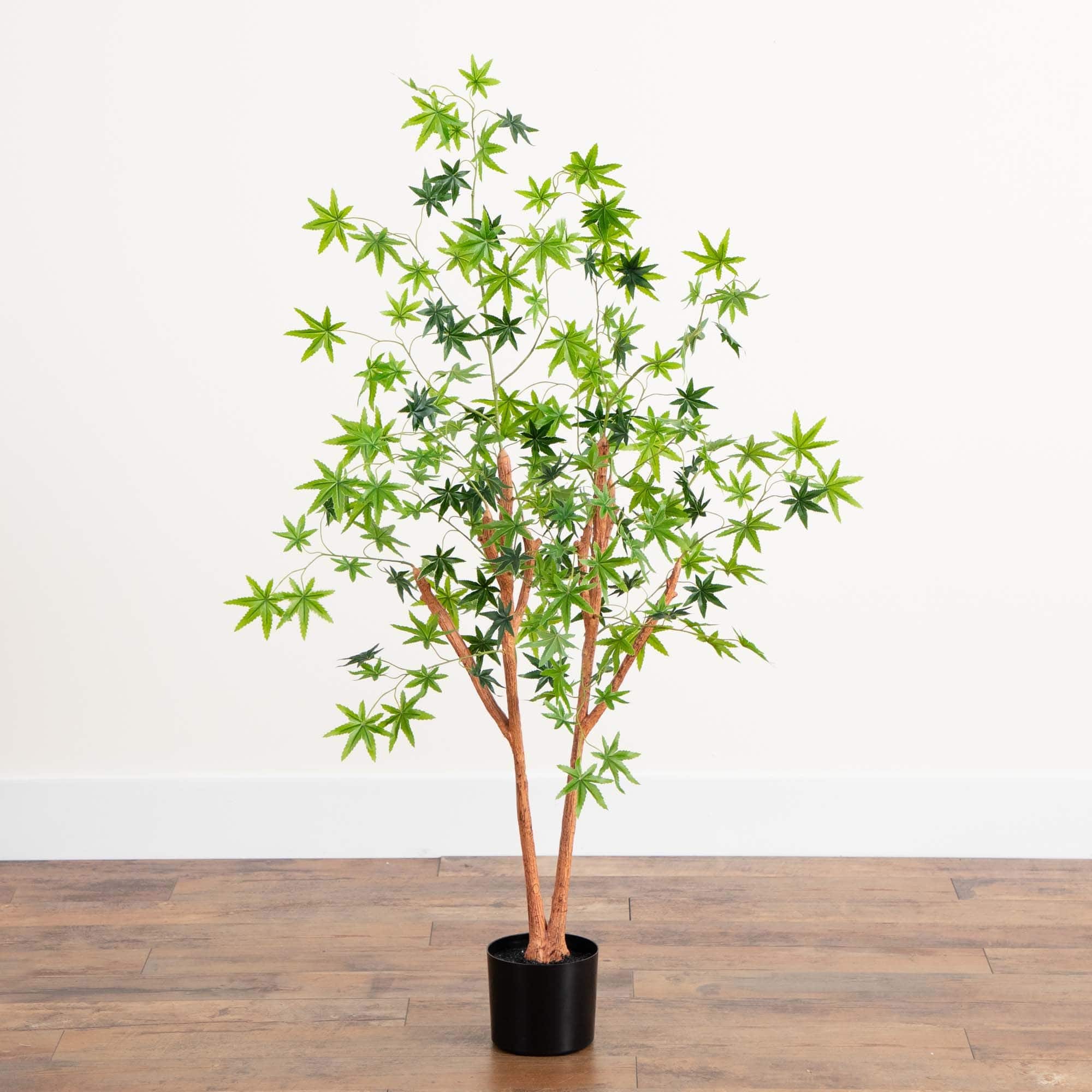 4ft. Potted Maple Tree