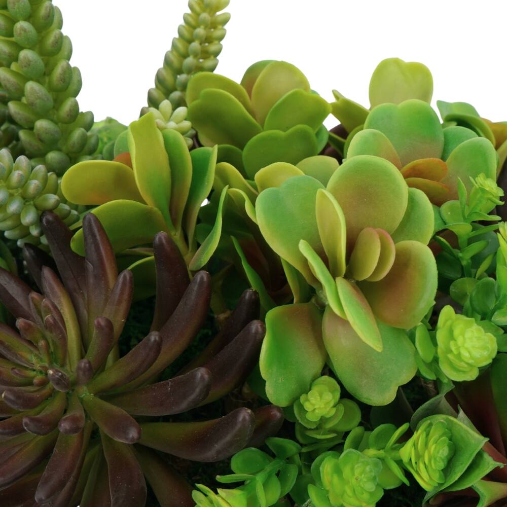 House of Silk Flowers 12" Artificial Succulent Arrangement in Two-Toned White & Terracotta Oval Ceramic Planter