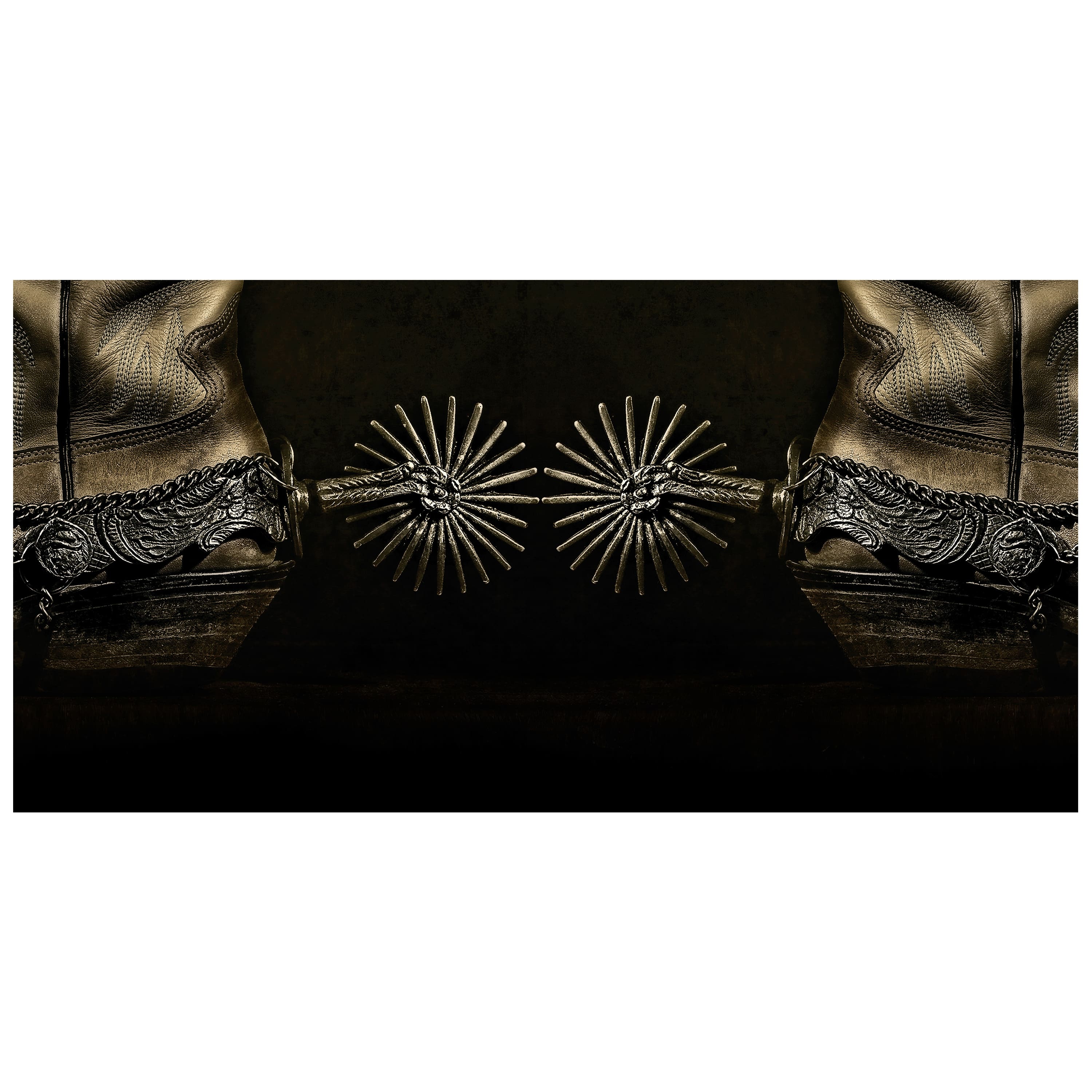 Empire Art Direct 48" x 24" Silver Spur Spiral Frameless Printed Tempered Glass Wall Art