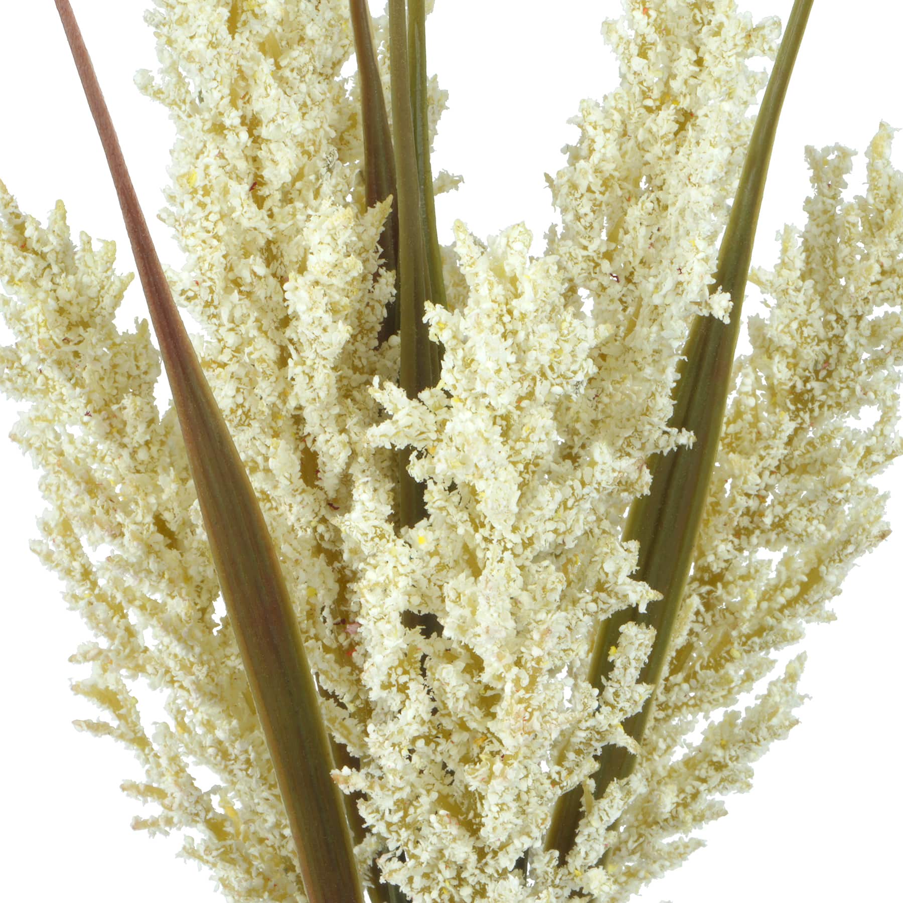 12" Cream Foxtail Mini Bundle by Ashland®