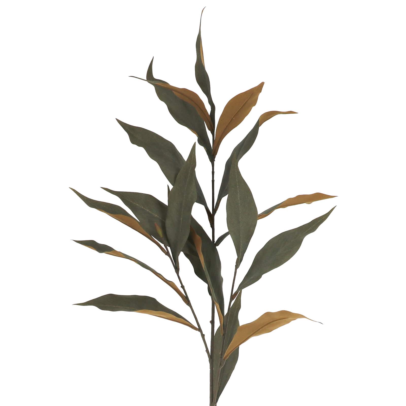 37" Green & Brown Eucalyptus Stem by Ashland®