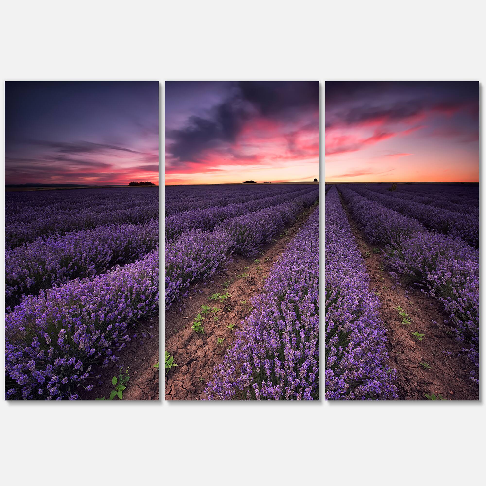 Designart - Sunrise & Dramatic Clouds Over Lavender Field IX - Farmhouse Canvas Wall Art Print