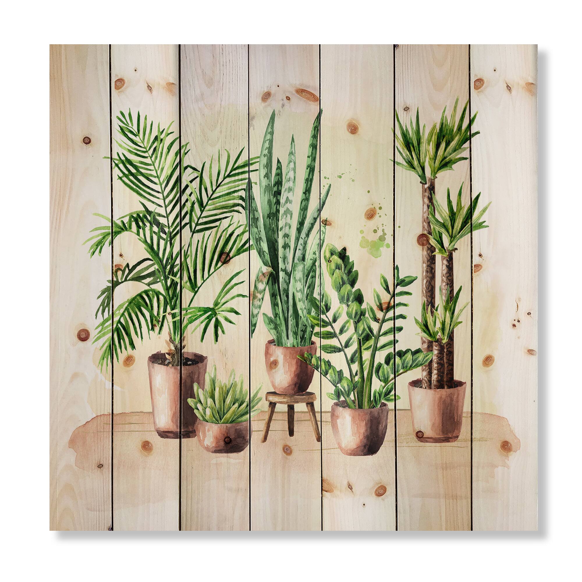 Designart - Indoor Green Home House Plants I