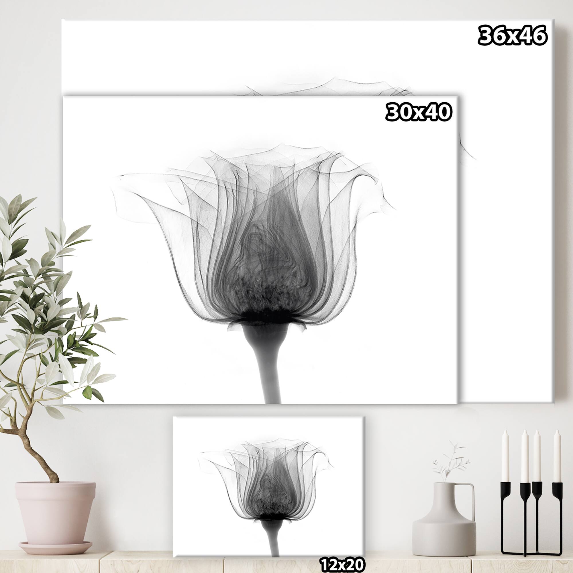 Designart - Rose ,Noma X-Ray