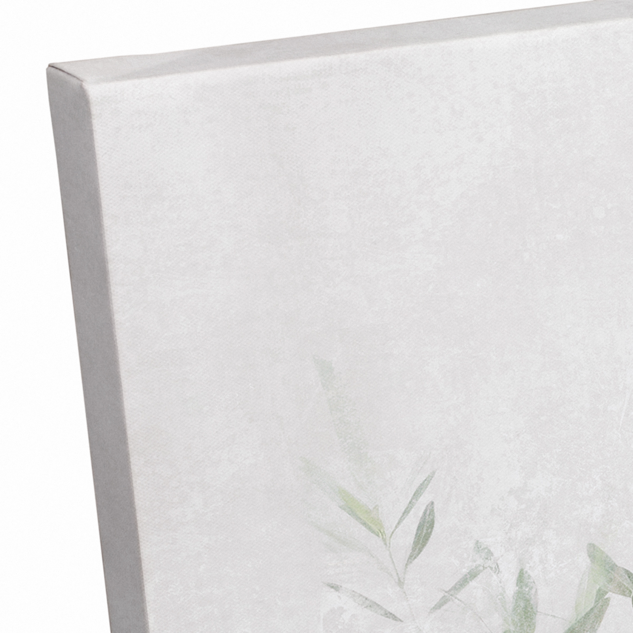 Washed Olive Tree 20" x 30" Canvas Wall Art
