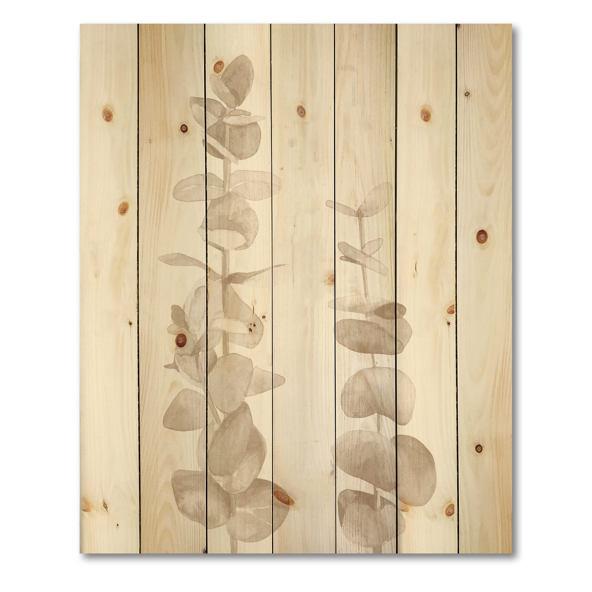 Designart - Beige Eucalyptus Branches On White - Traditional Print on Natural Pine Wood