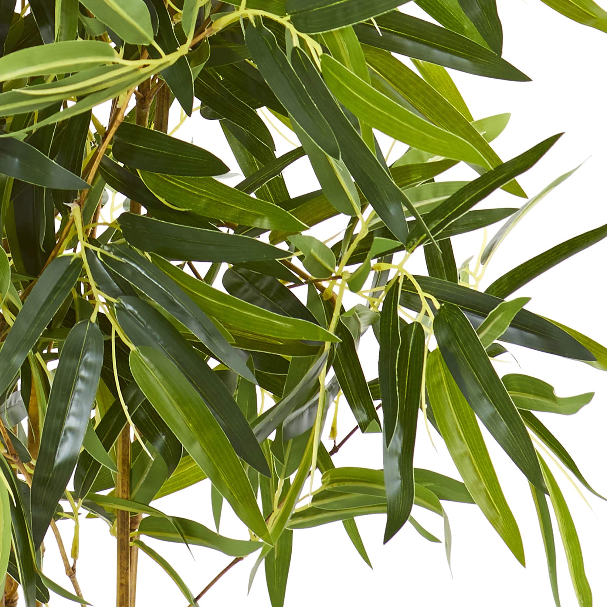 4.5ft. Bamboo Tree in Terracotta Planter