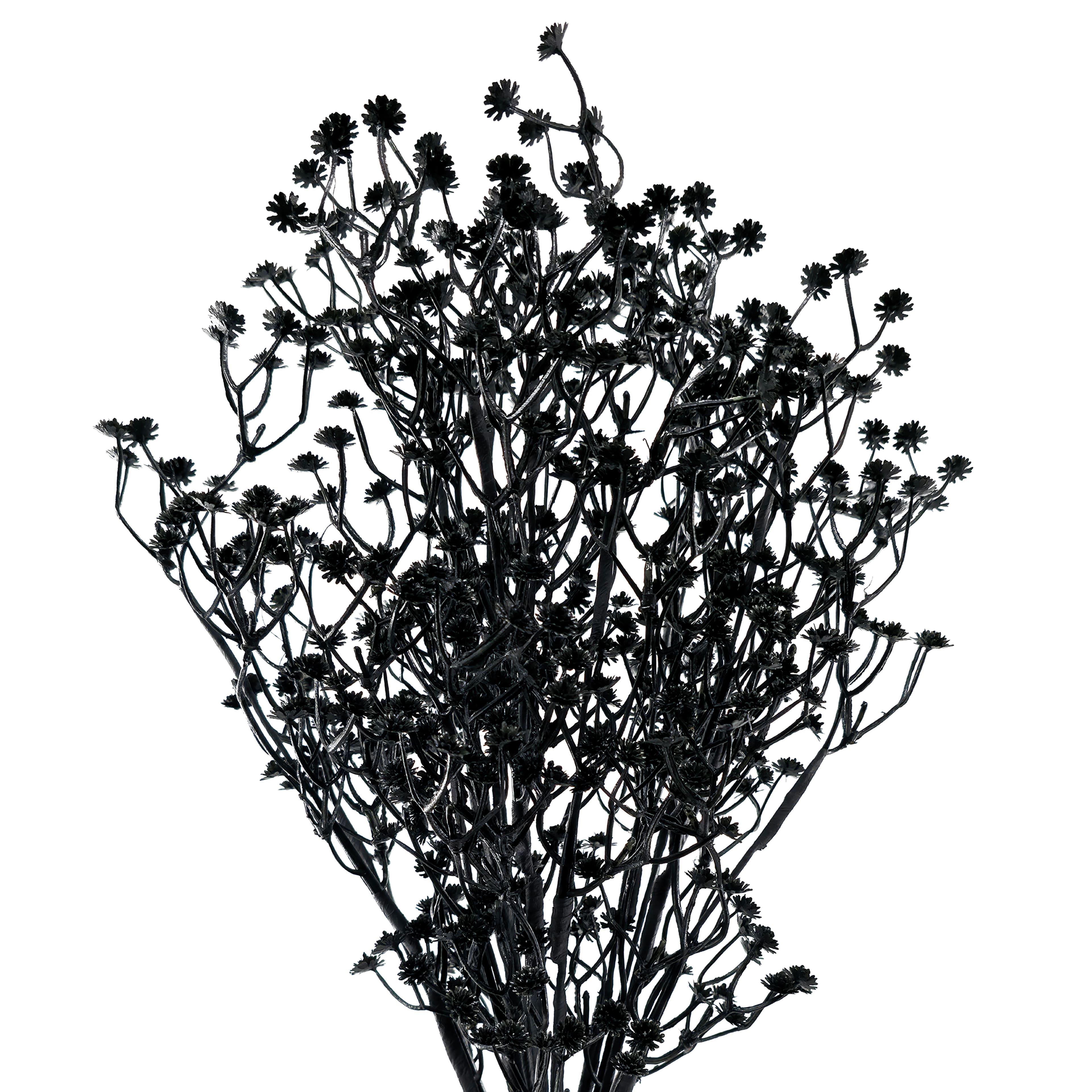 19" Black Twig Bush by Ashland®