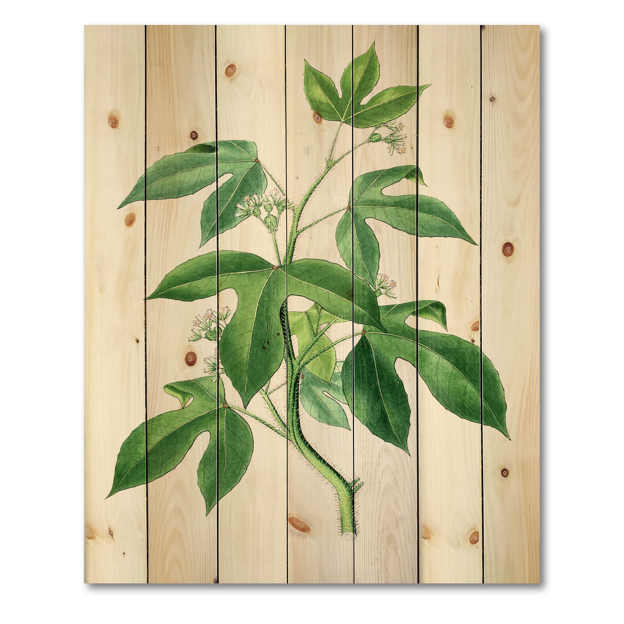 Designart - Vintage Green Leaves Plants V - Traditional Print on Natural Pine Wood
