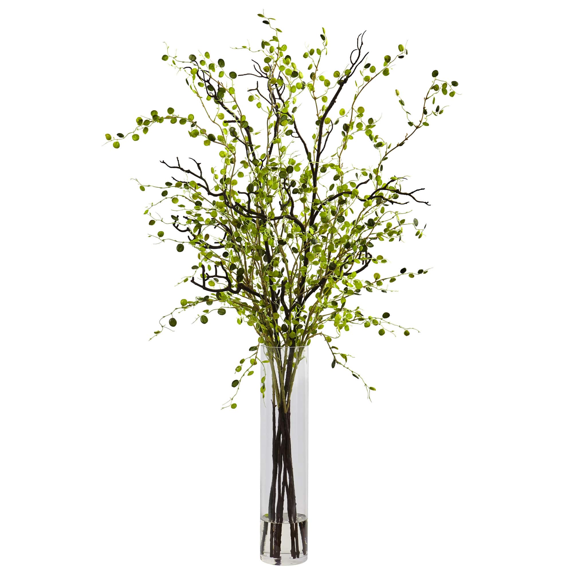 3.5ft. Green Night Willow Arrangement in Glass Vase