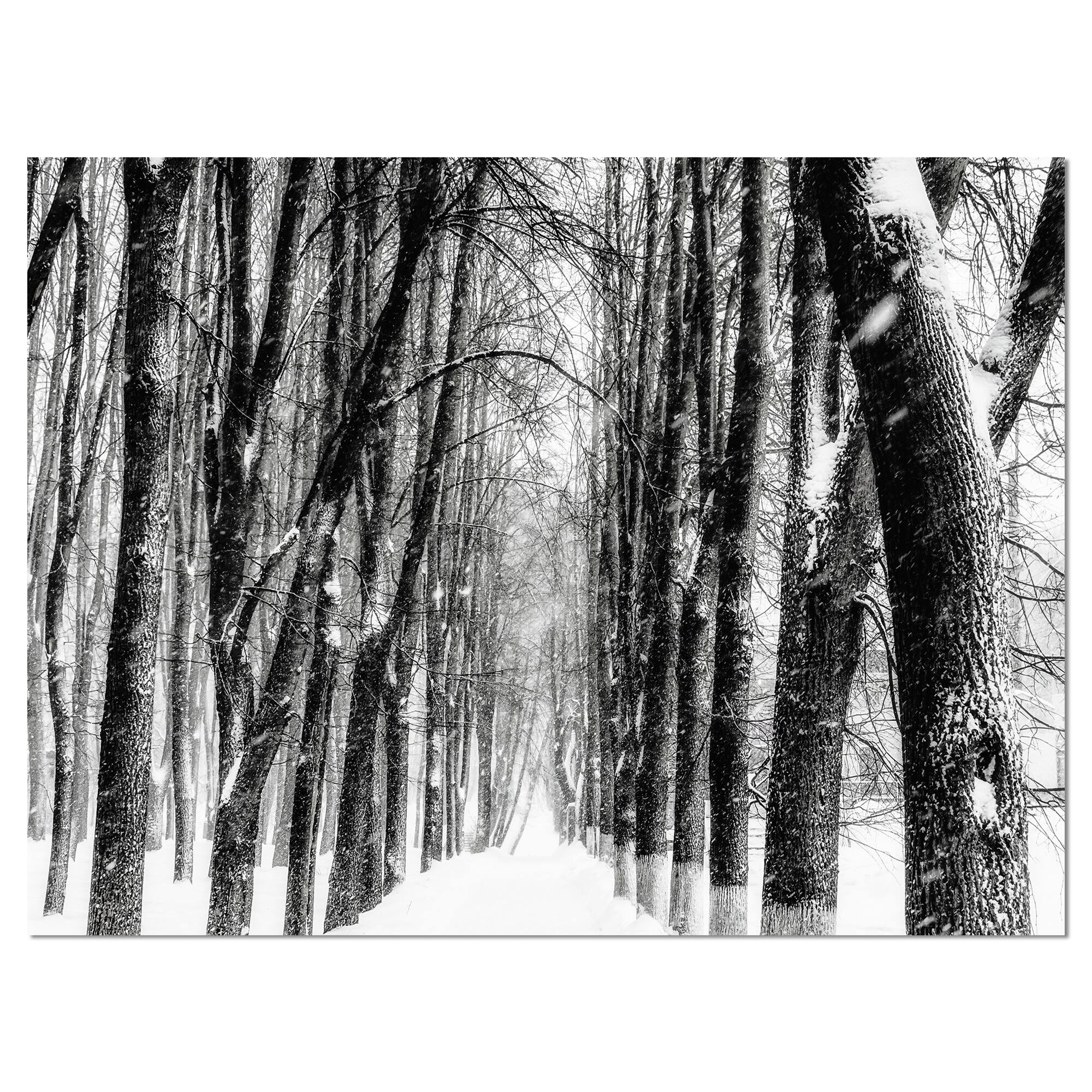 Designart - Snowy Forest Black and White - Modern Forest Canvas Art