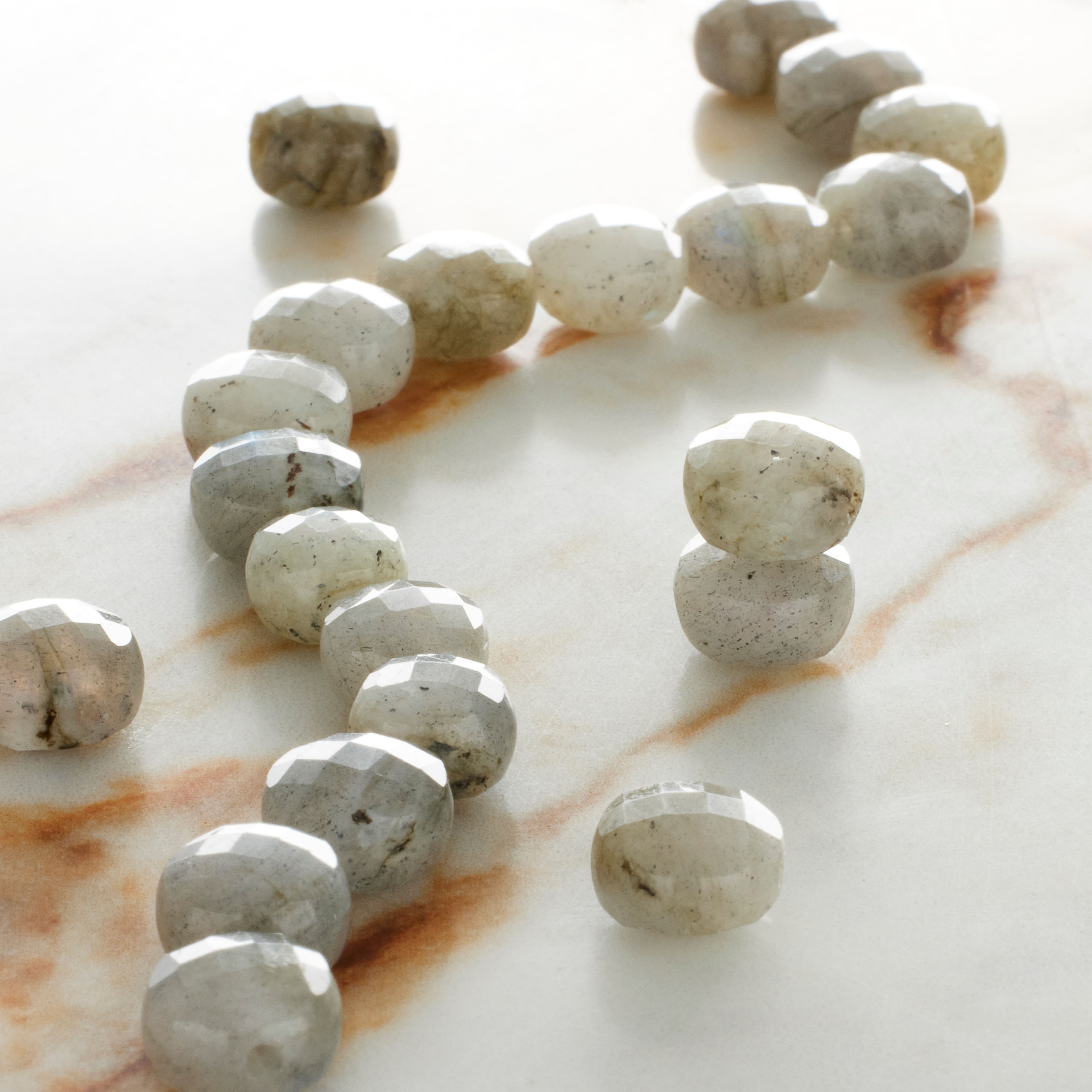 12 Pack: Gray Labradorite Faceted Coin Beads, 8mm by Bead Landing™