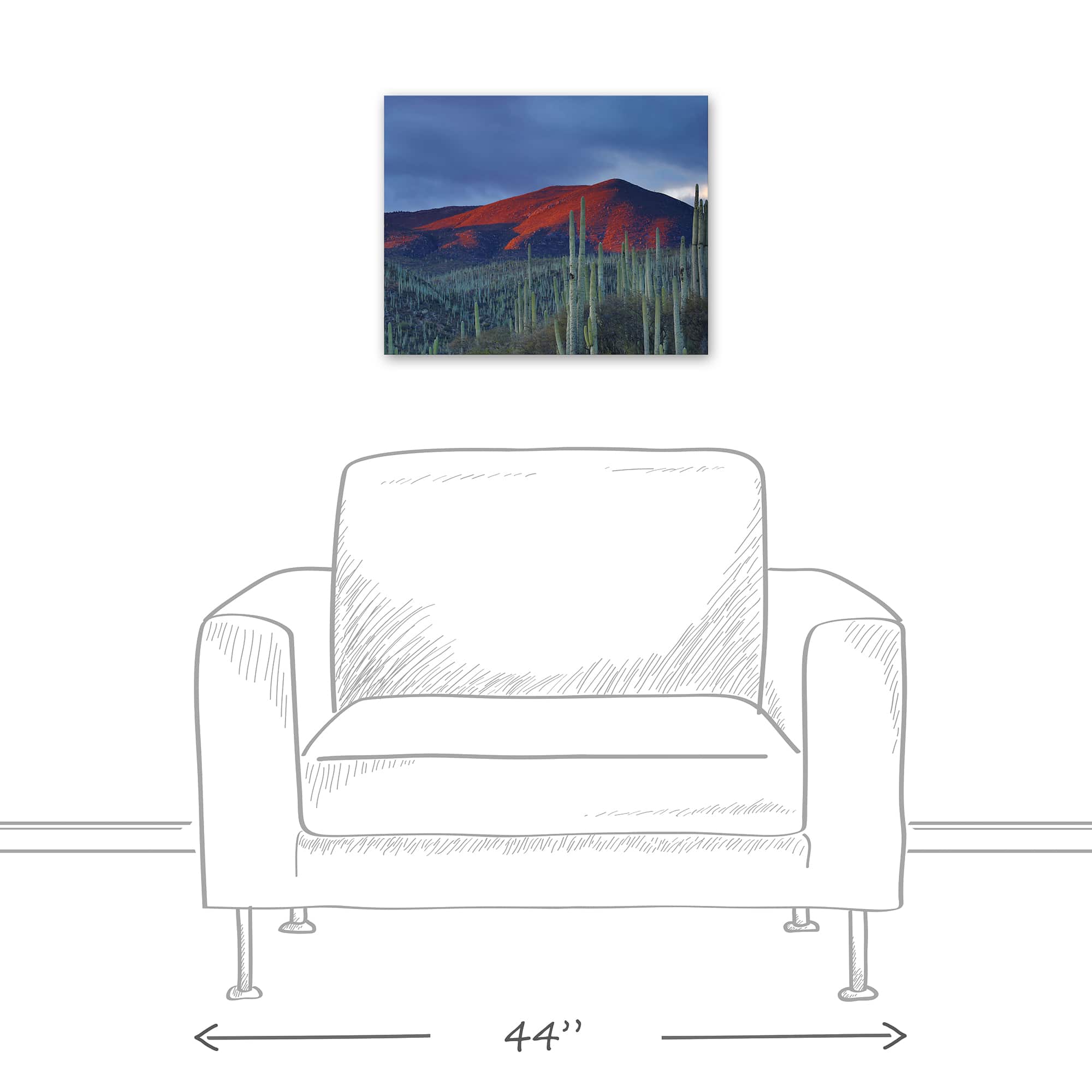 Field Of Cactus 20" x 16" Canvas Wall Art