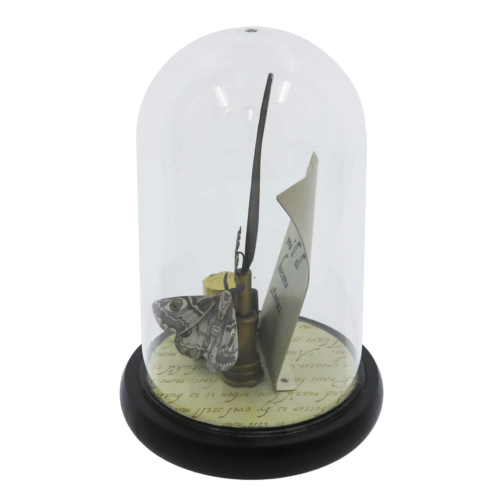9" Ink & Moth Cloche Tabletop Décor by Ashland®