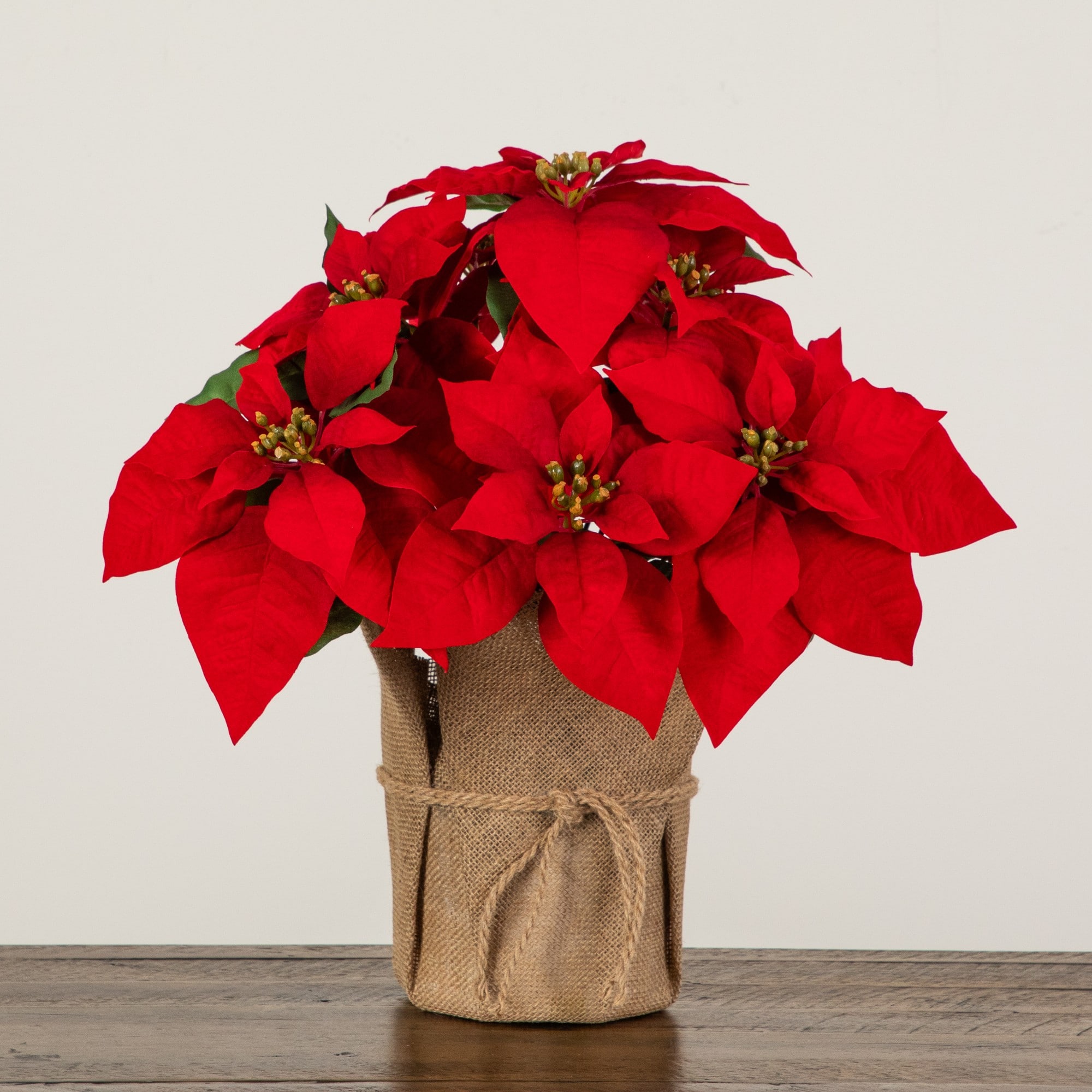 Nearly Natural 13" Artificial Red Velvet Poinsettia Arrangement in Burlap Planter