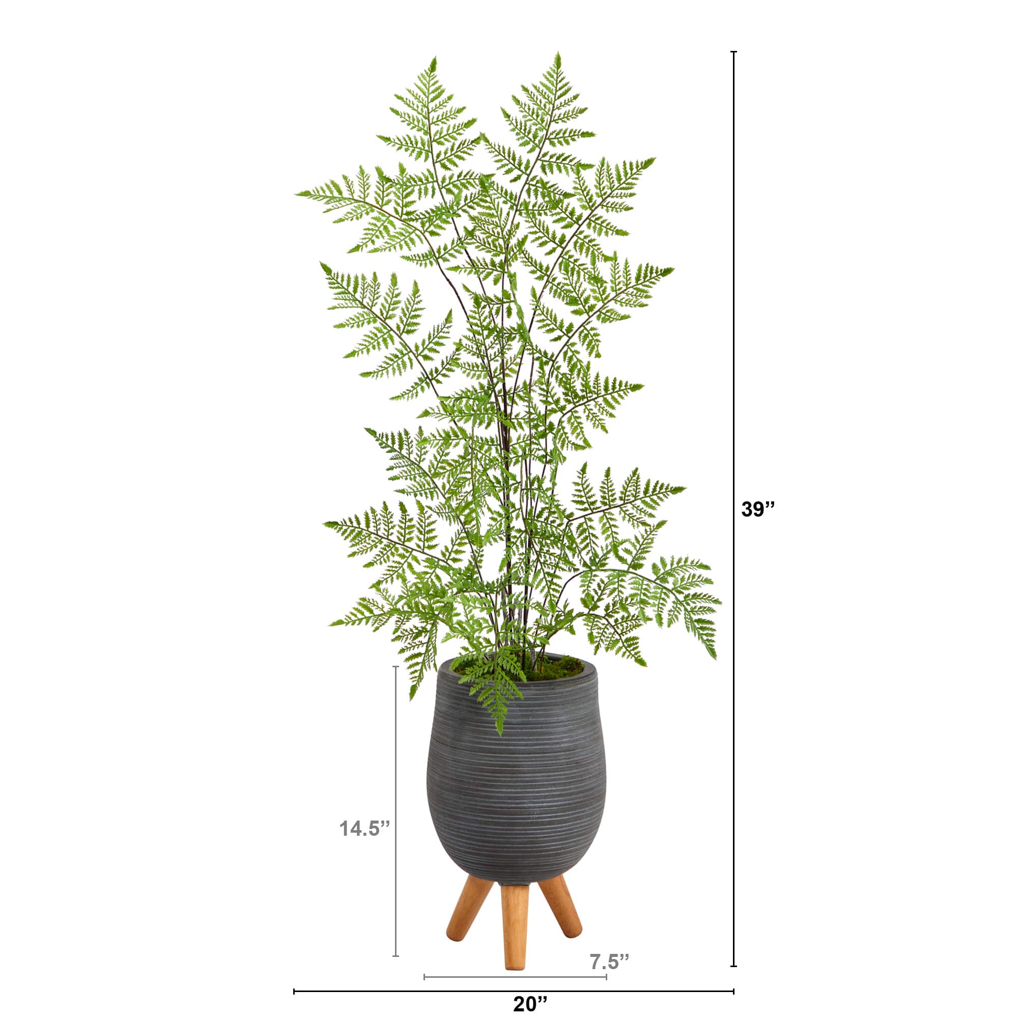 3ft. Ruffle Fern Tree in Gray Planter with Stand