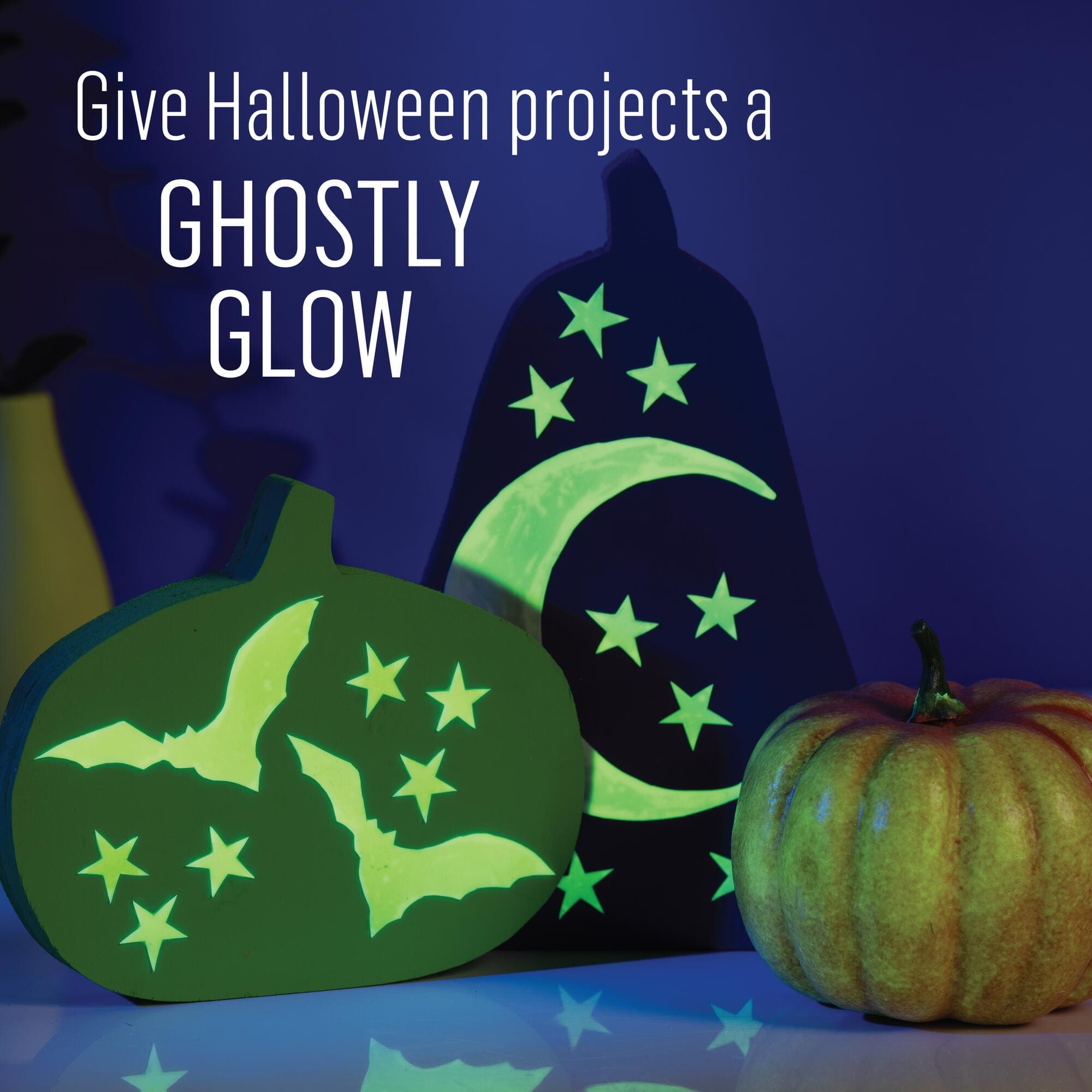 FolkArt® Halloween Paint & Stencil Kit