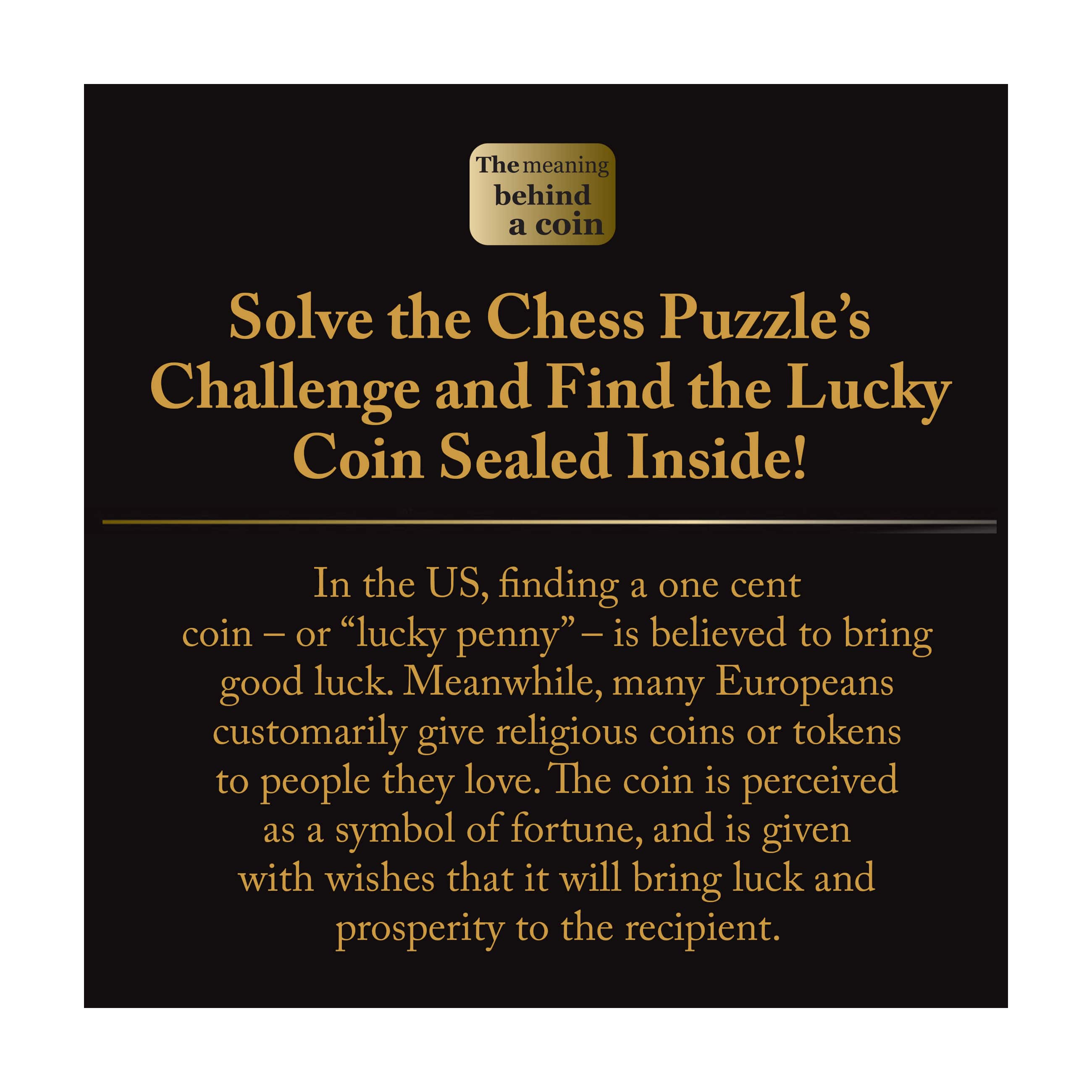 Hanayama Level 2 Cast Chess Puzzle - Knight