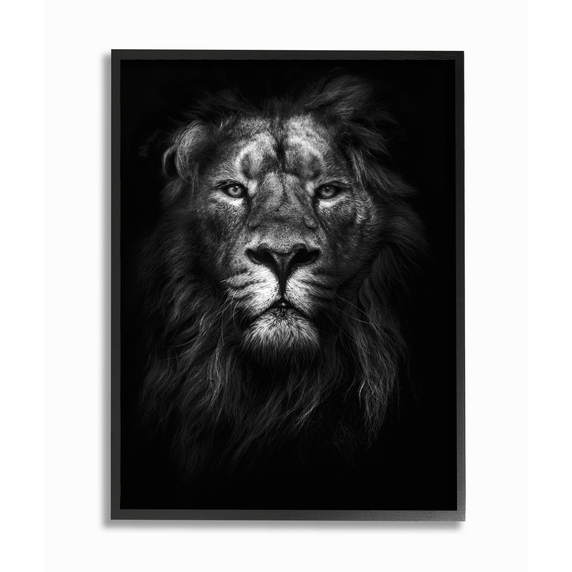 Stupell Industries King Of The Jungle Lion Portrait Black Framed Wall Art