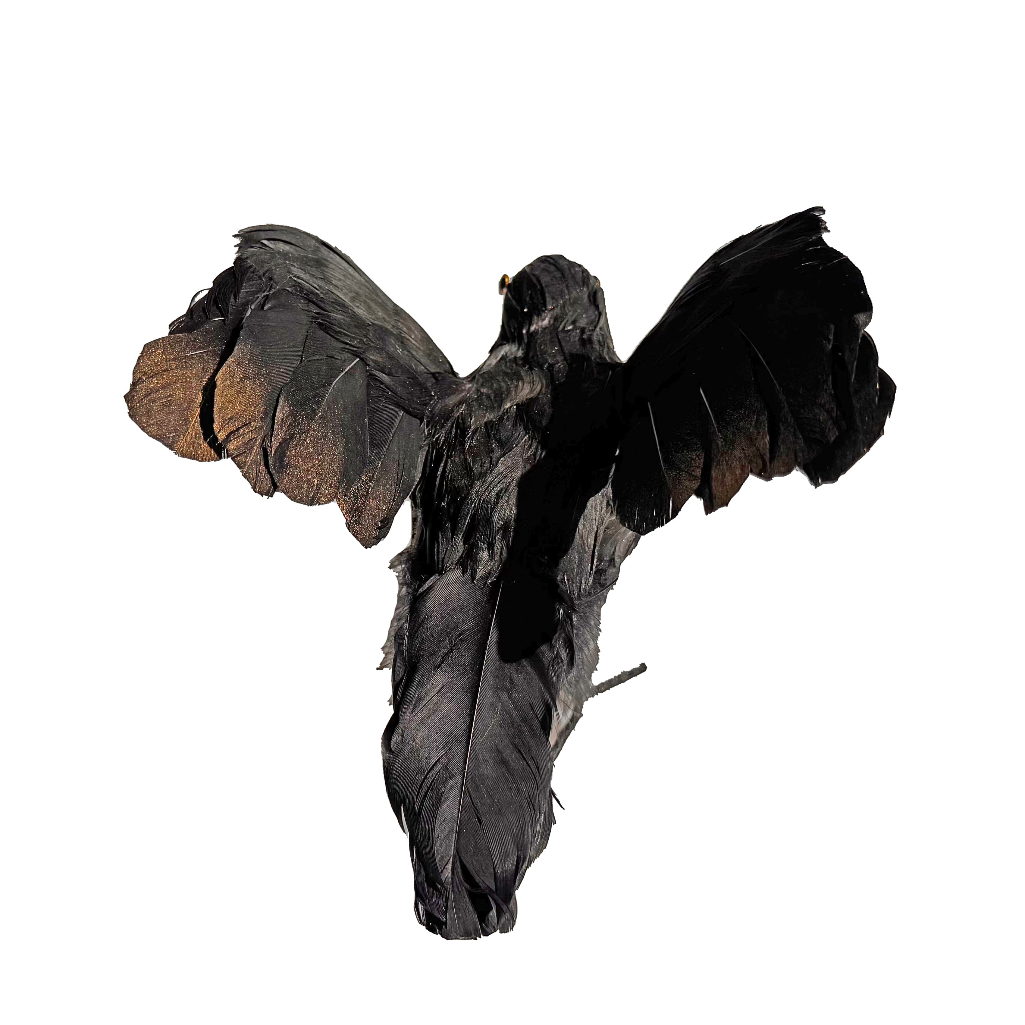 8.5" Iridescent Black Flying Crow Décor by Ashland®