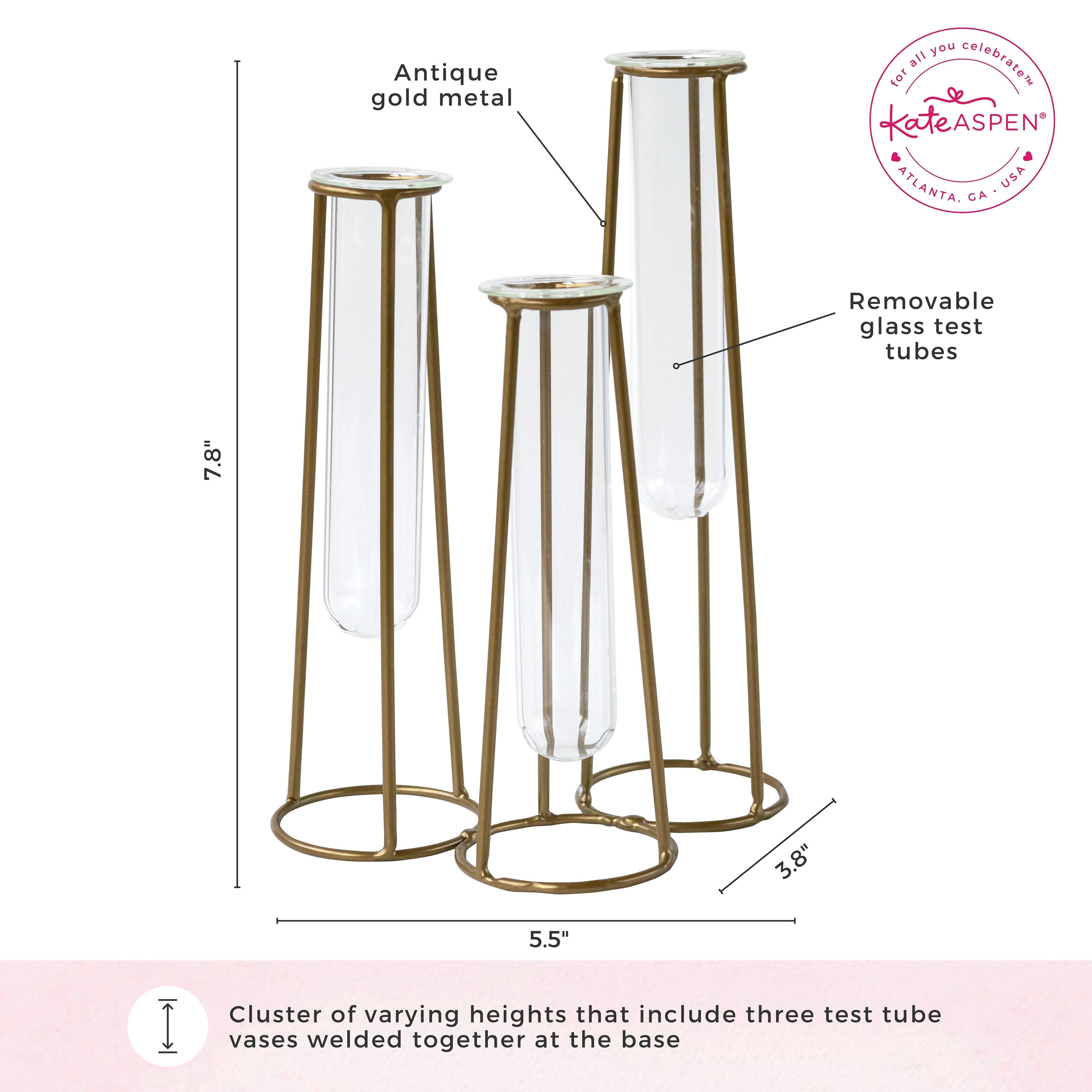 Kate Aspen® Test Tube Flower Vase Set