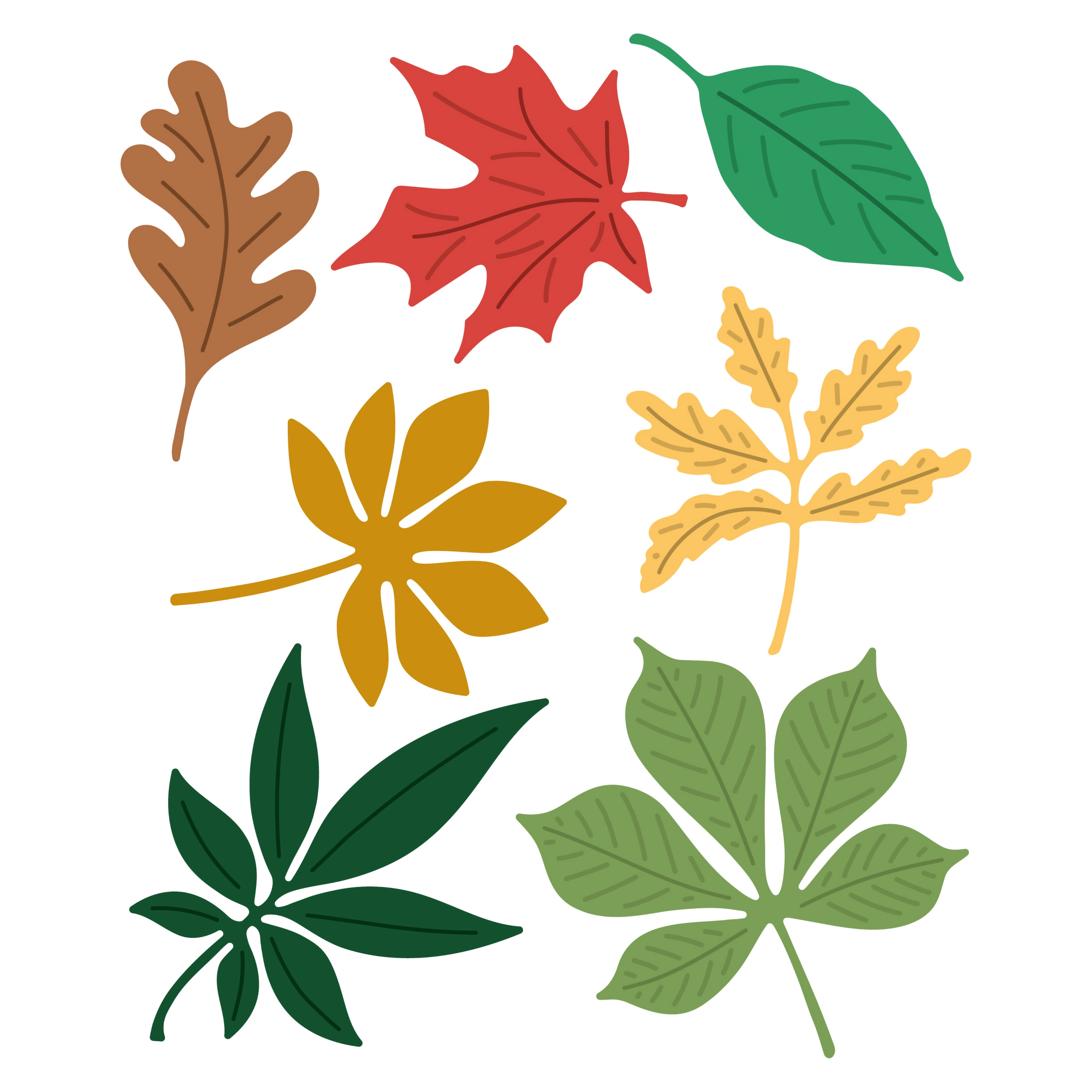 6 Pack: Fall Leaves Cutting Die Set by Recollections™
