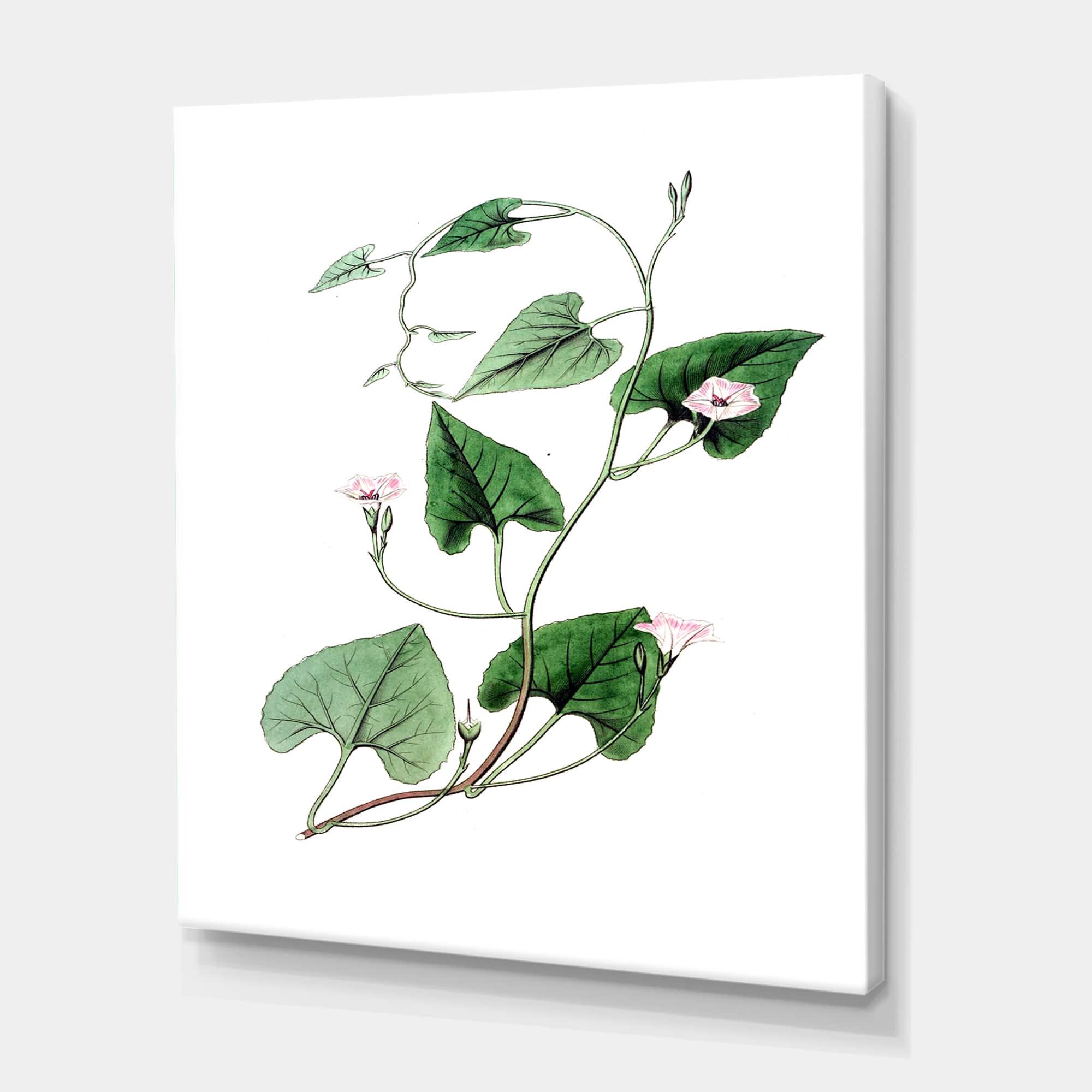 Designart - Vintage Green Leaves Plants IX - Traditional Canvas Wall Art Print
