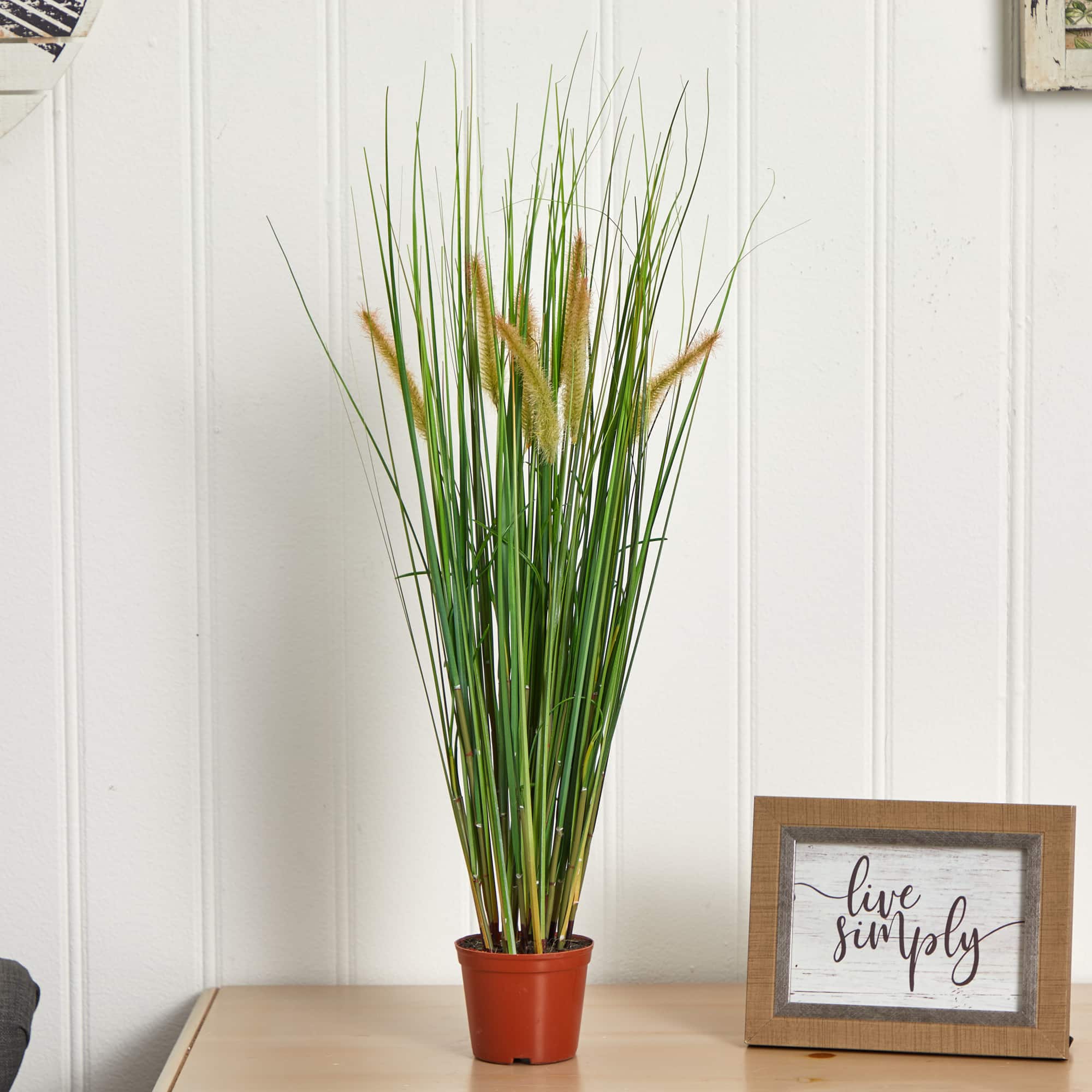 2.5ft. Potted Grass Plant
