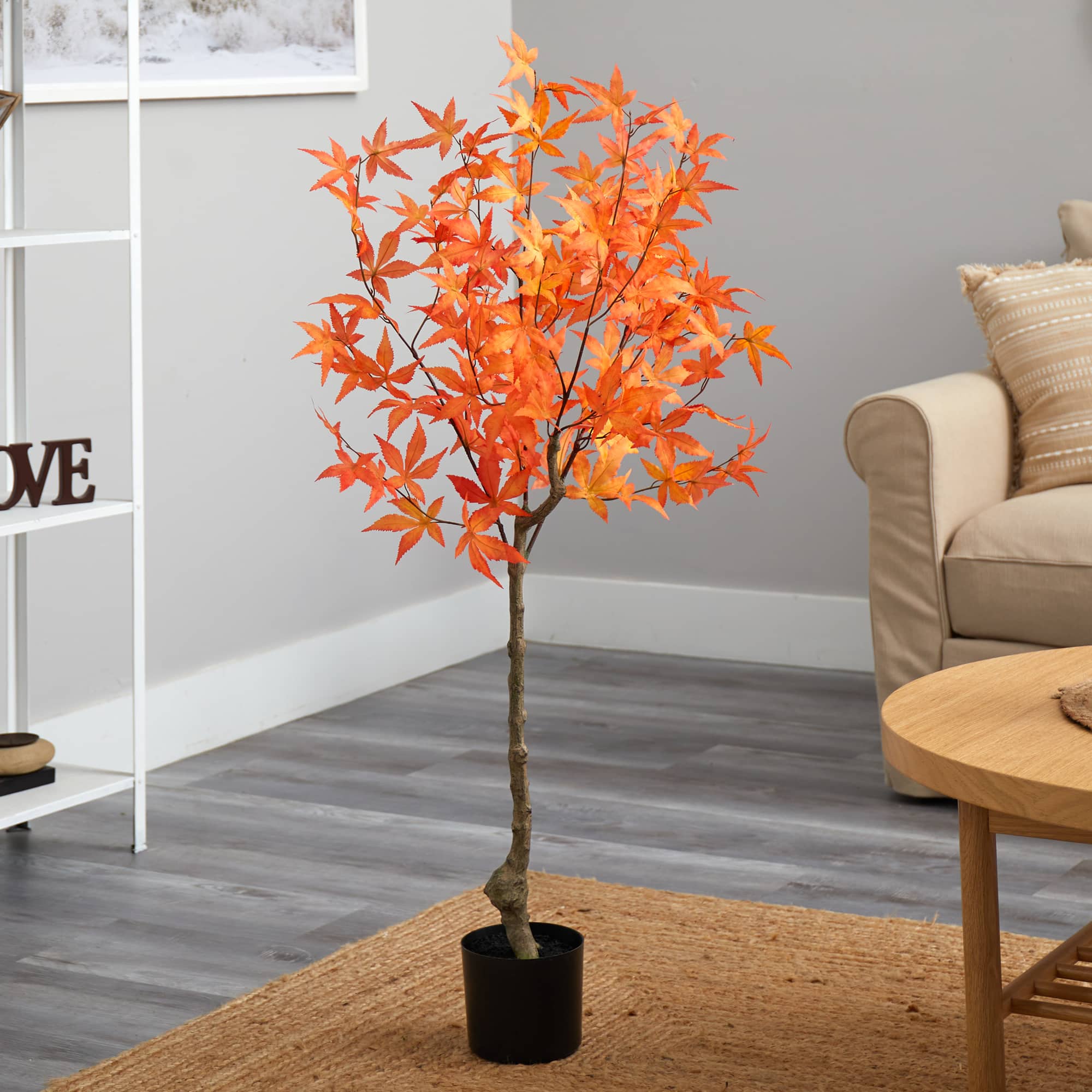 4ft. Potted Orange Autumn Maple Tree