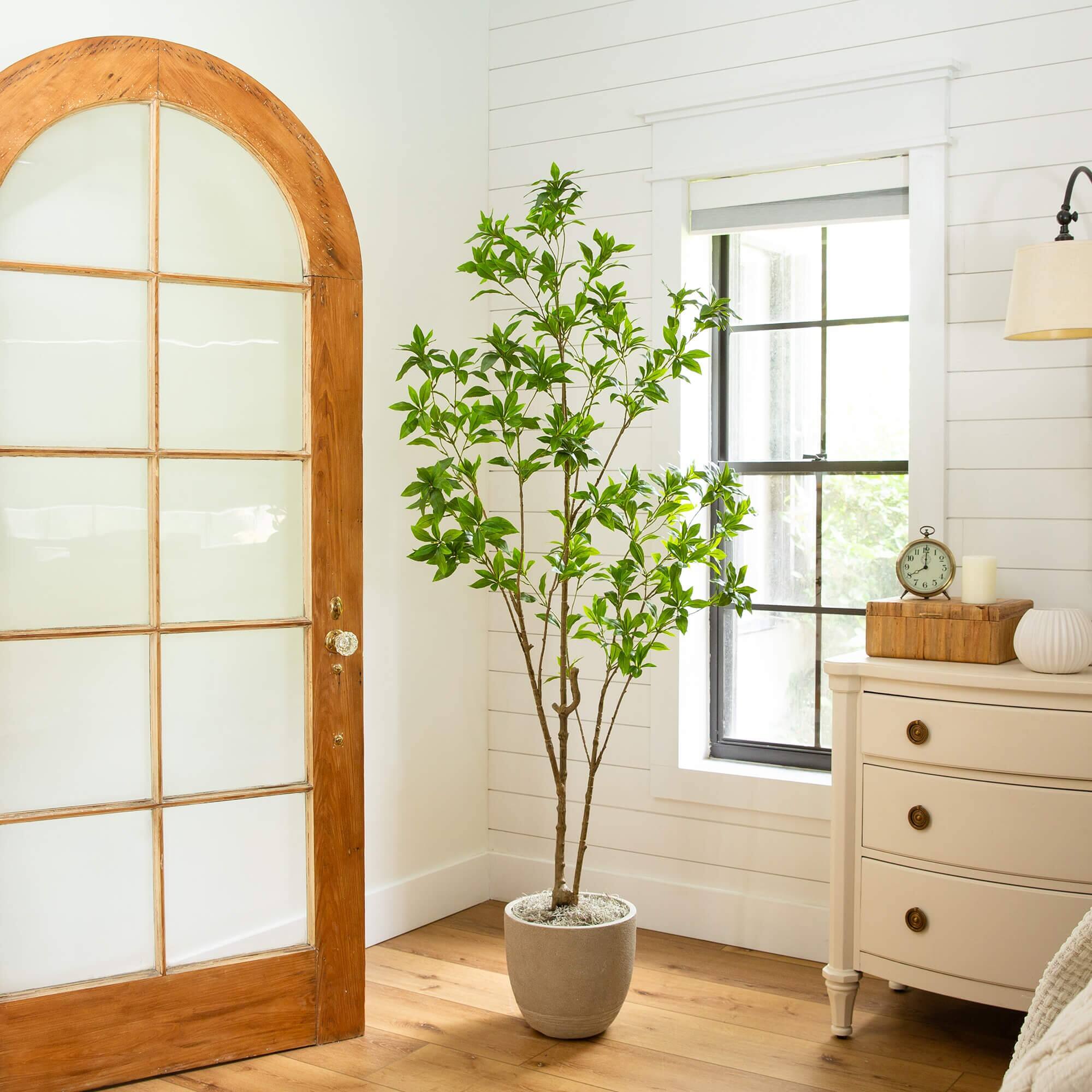 6ft. Artificial Minimalist Japanese Pieris Tree