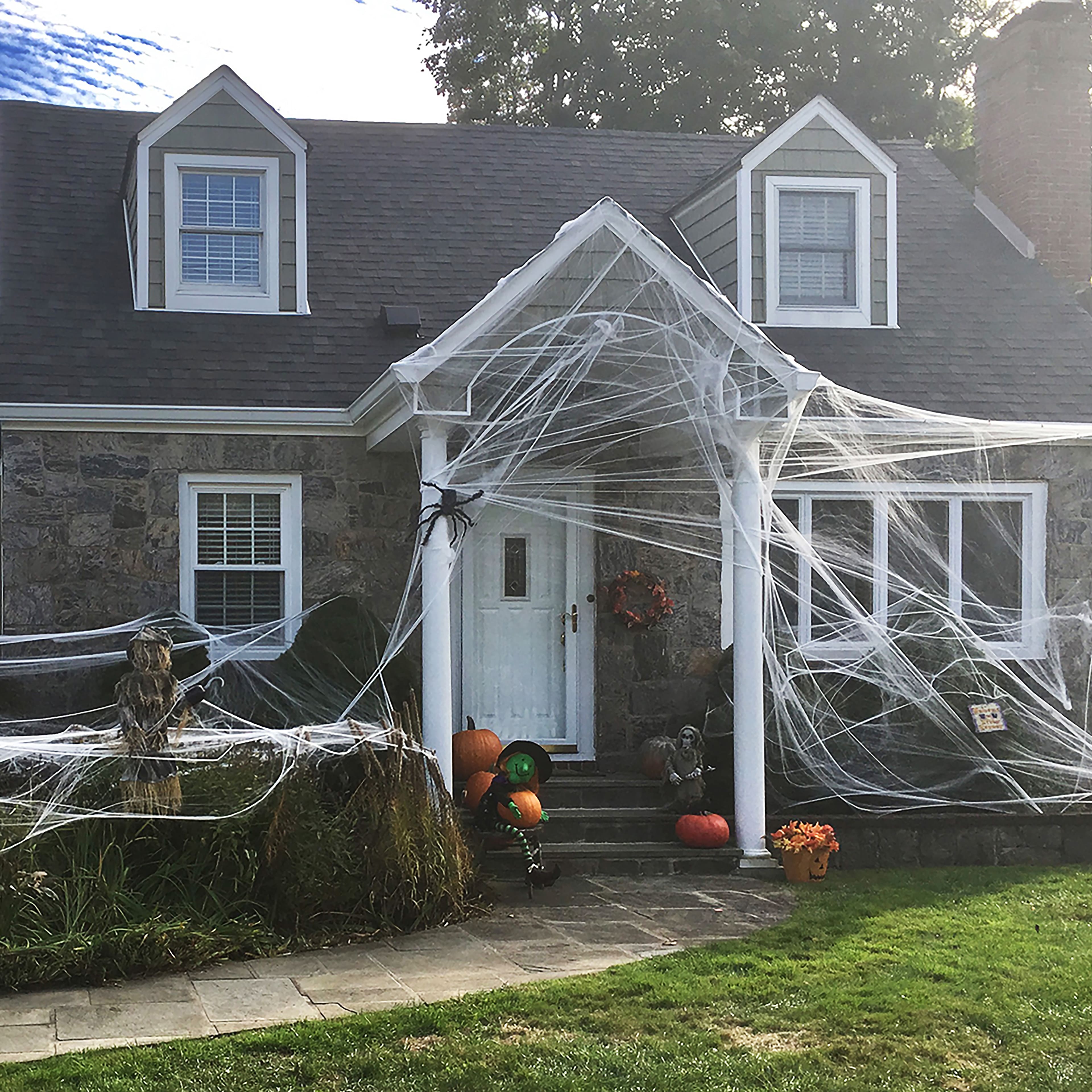 10ft. White Spider Web by Ashland®