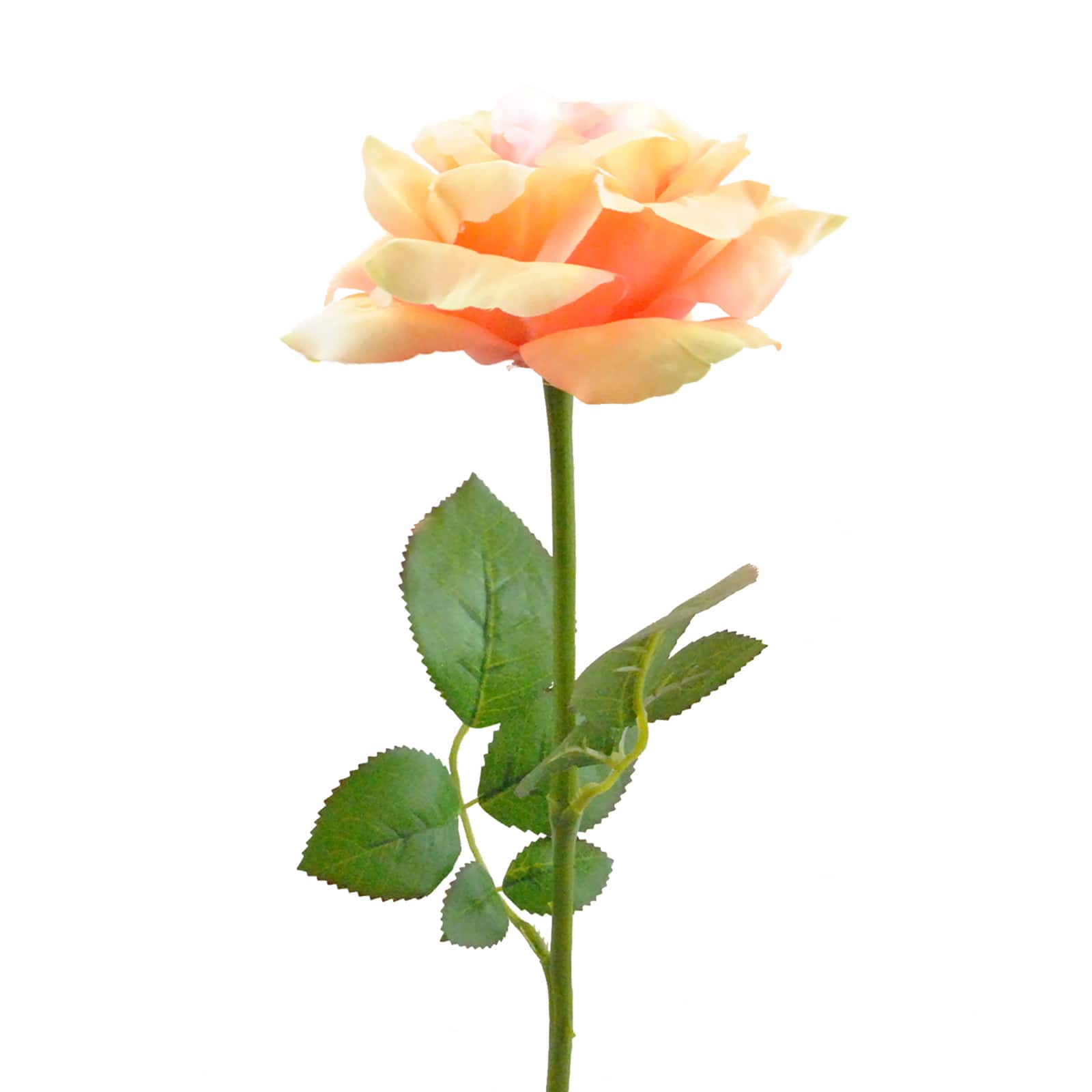 DII® Yellow Flower Open Rose Set, 6ct.