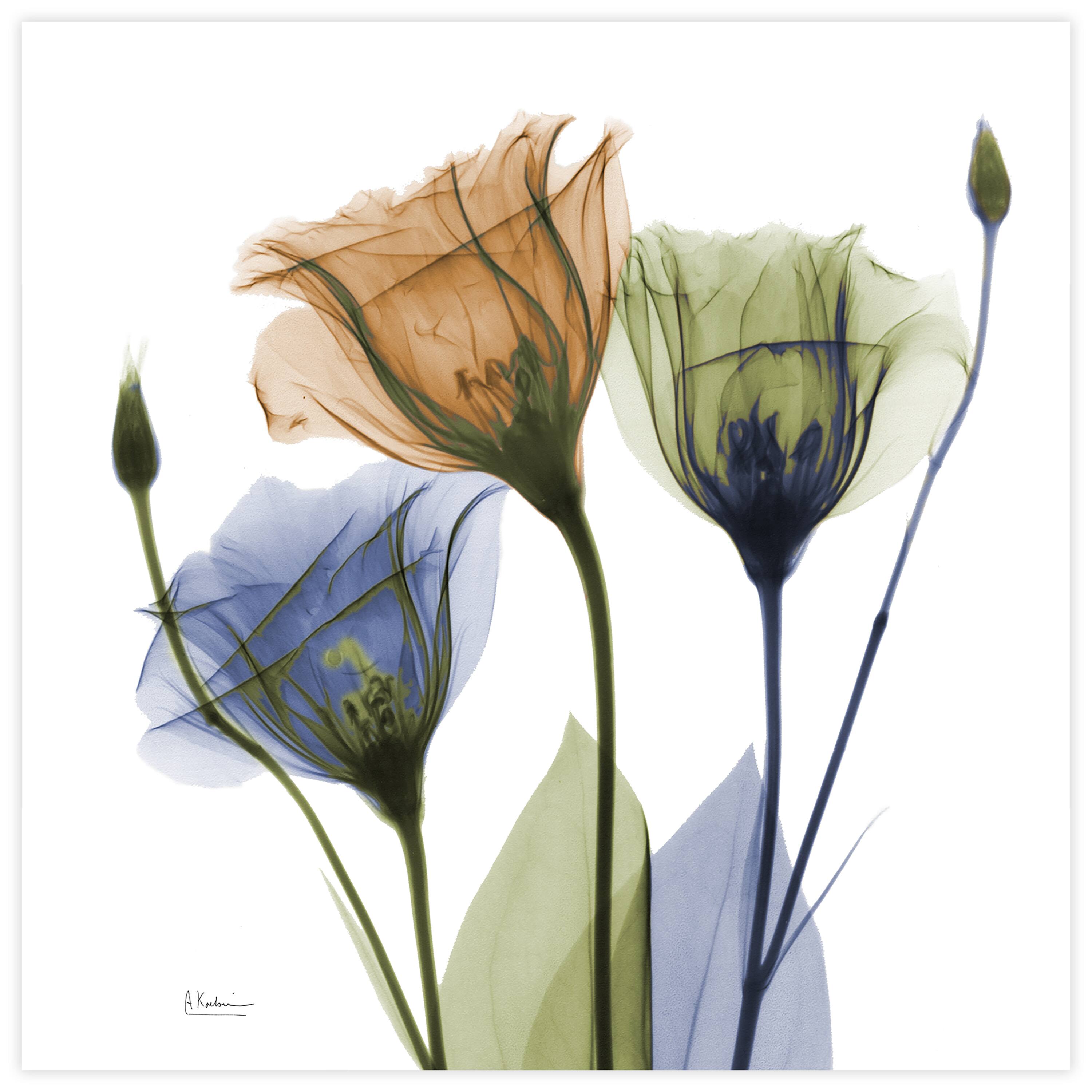 Empire Art Direct 24" x 24" Gentian Buddies Frameless Free Floating Printed Tempered Glass Wall Art