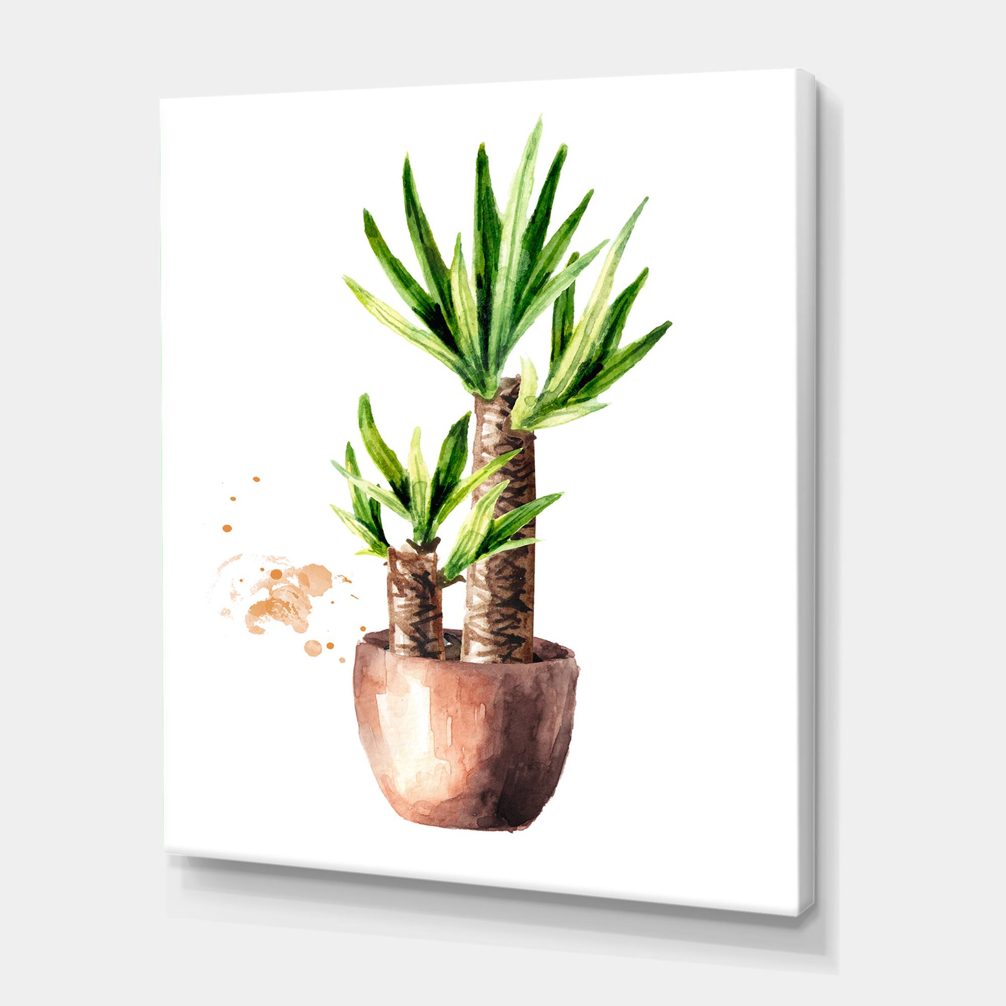 Designart - Yucca Tree In The Ceramic Flower Pot - Traditional Canvas Wall Art Print