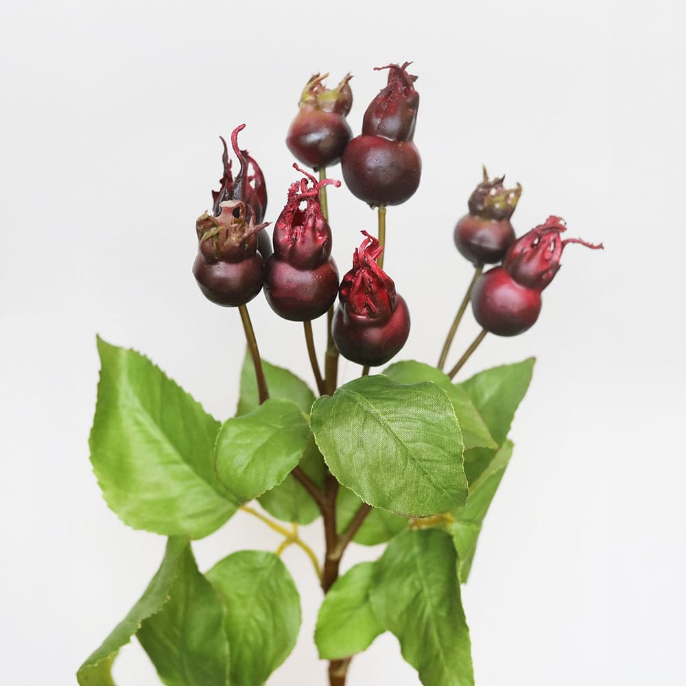 Prestige Botanicals 23.5" Artificial Montana Rose Hip Stem