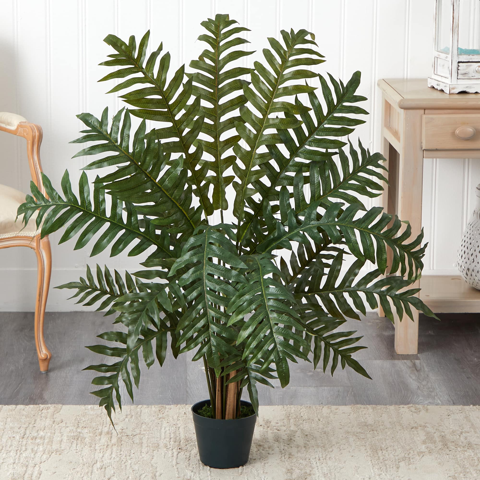 3.5ft. Potted Evergreen Tree