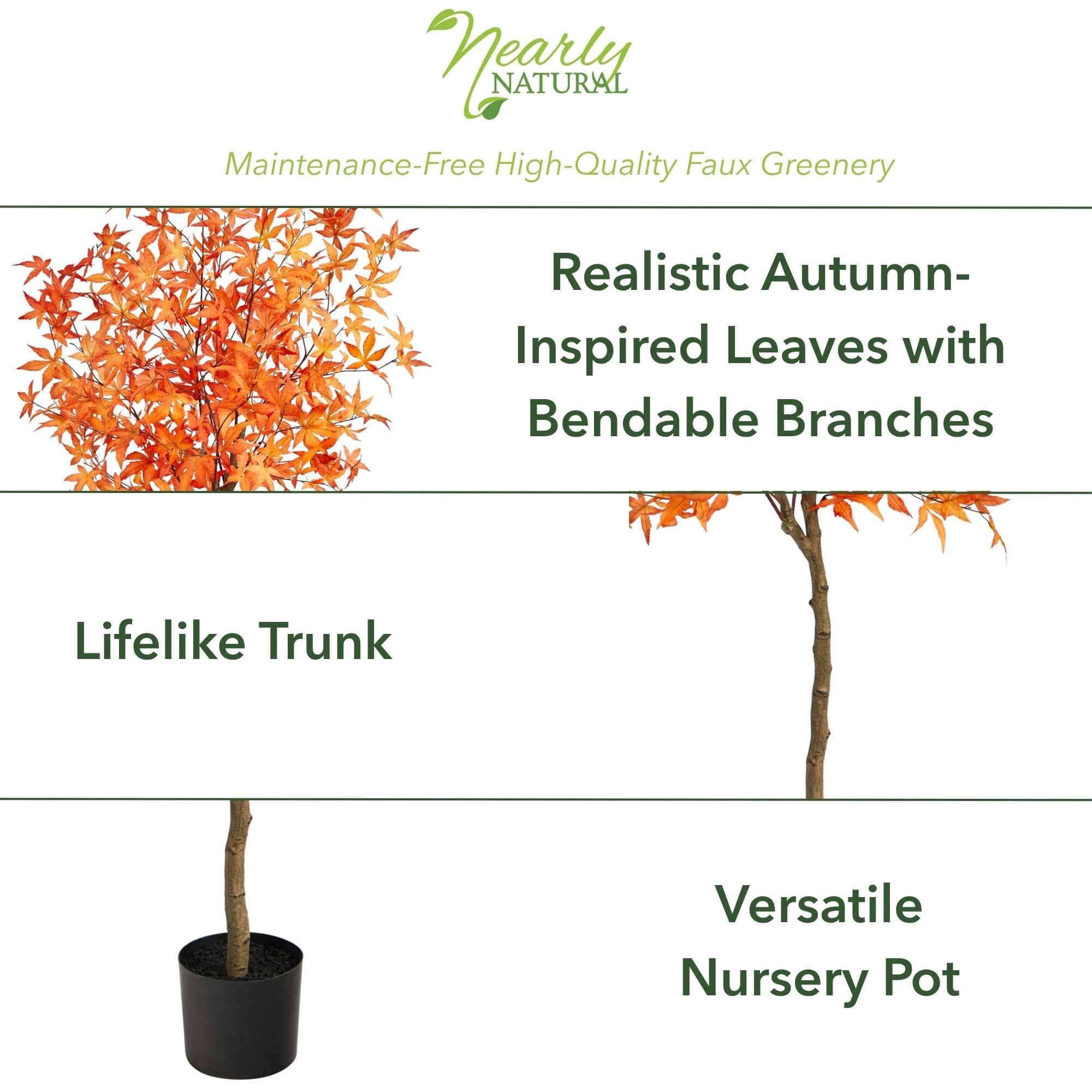 5ft. Potted Orange Autumn Maple Tree