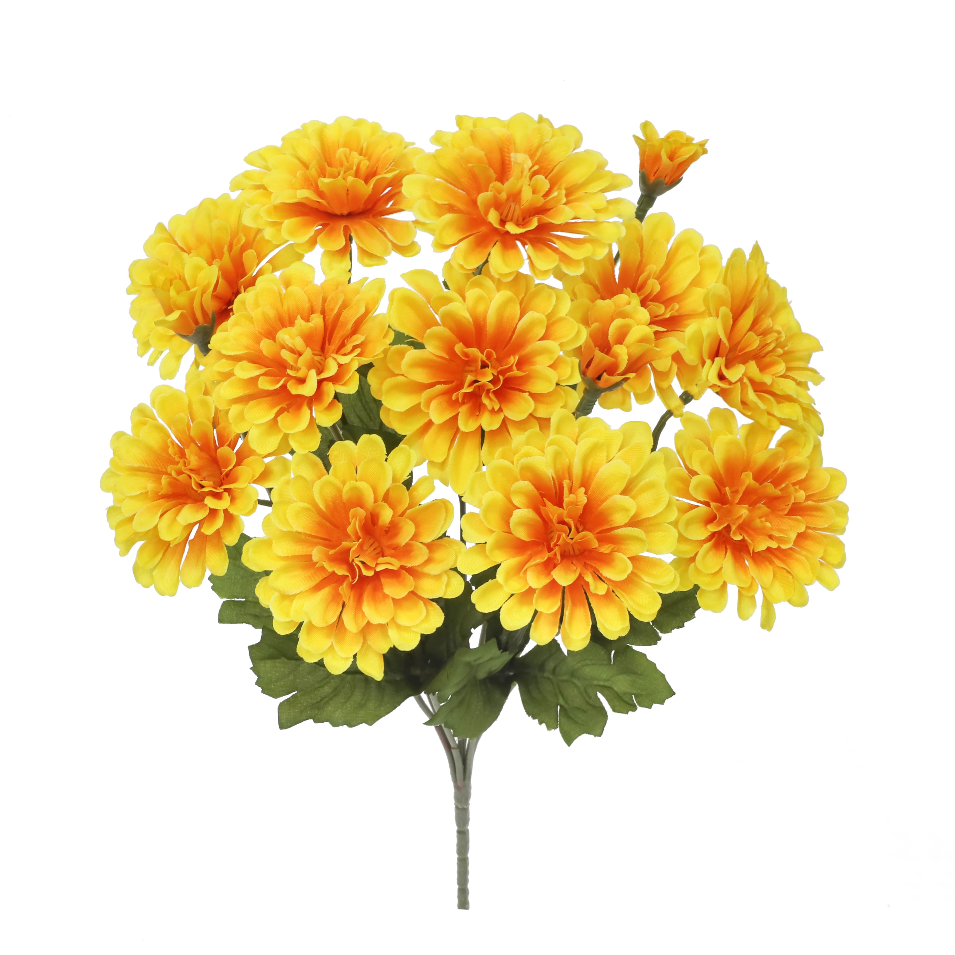 14" Zinnia Bush by Ashland