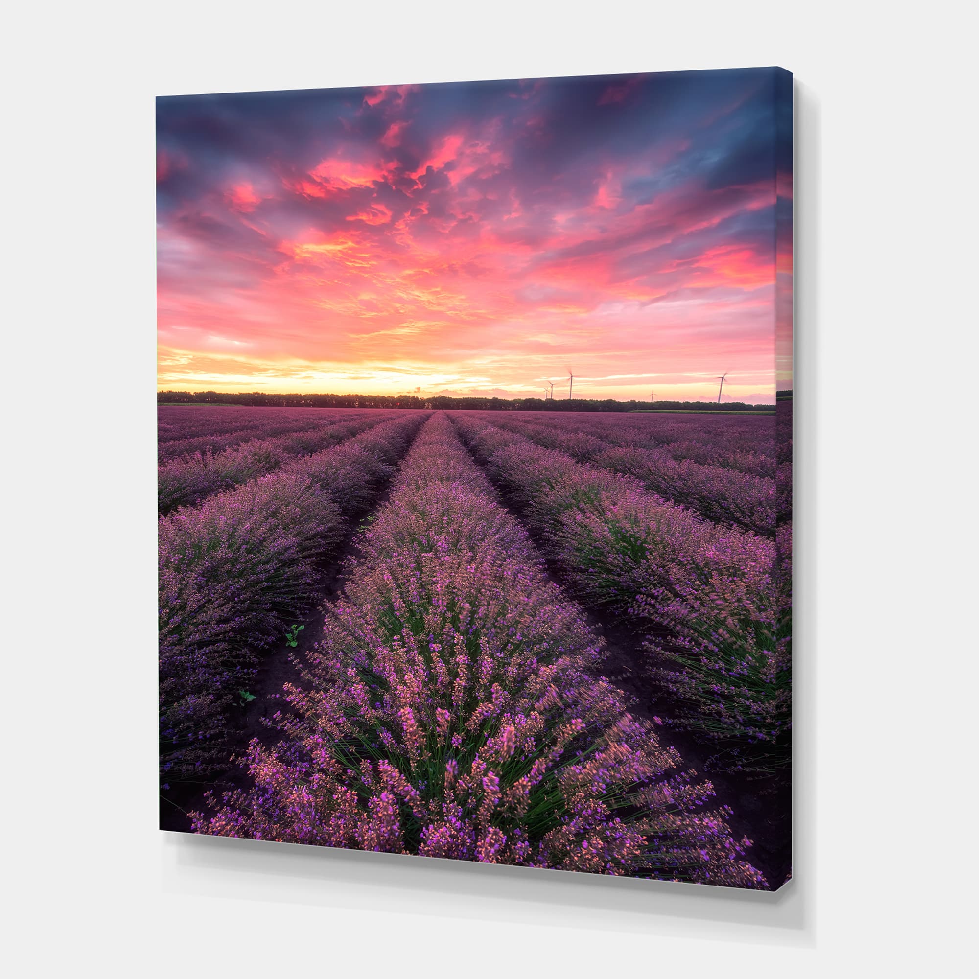 Designart - Sunrise & Dramatic Clouds Over Lavender Field XIV - Farmhouse Canvas Wall Art Print