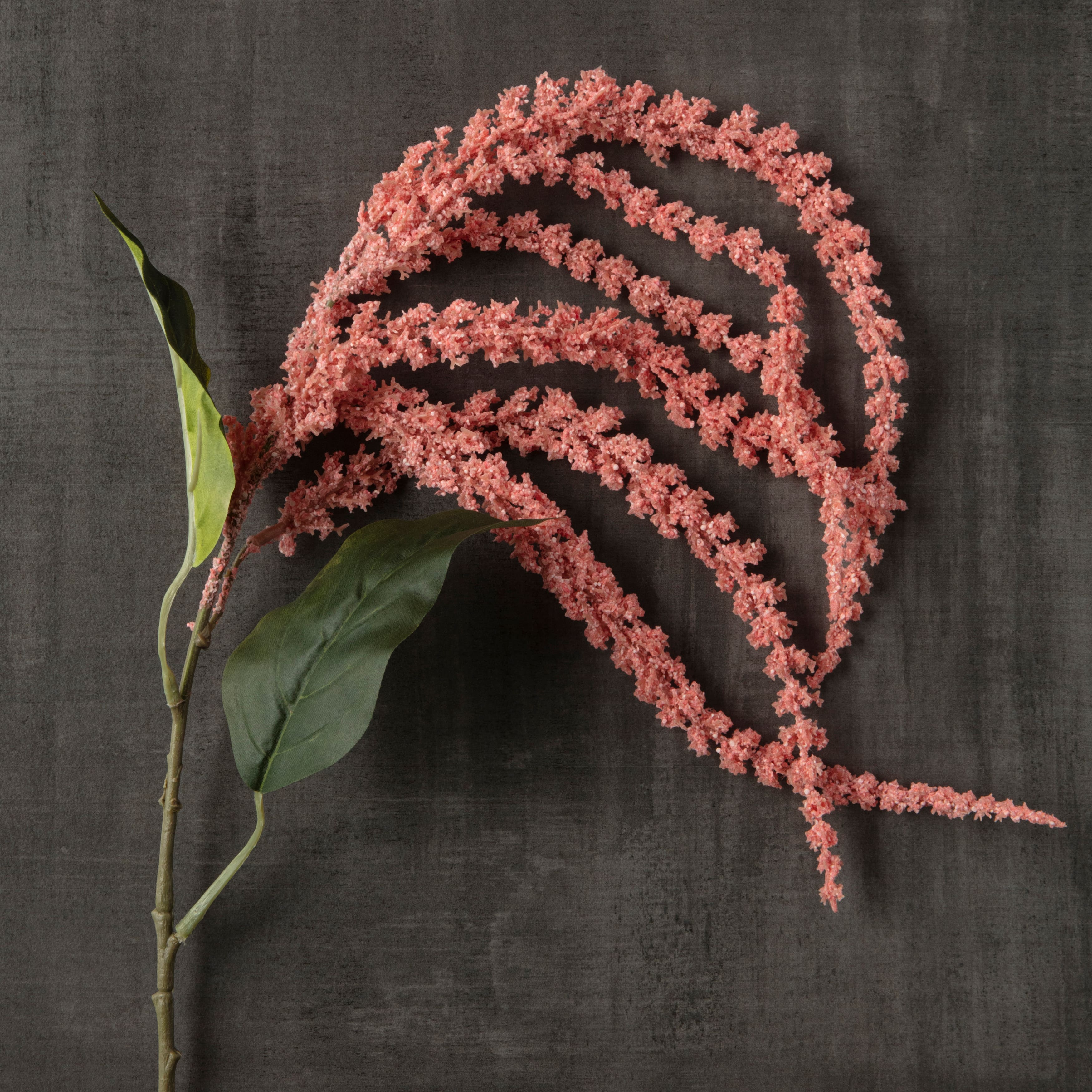 Pink & Cream Amaranthus Stem By Ashland®
