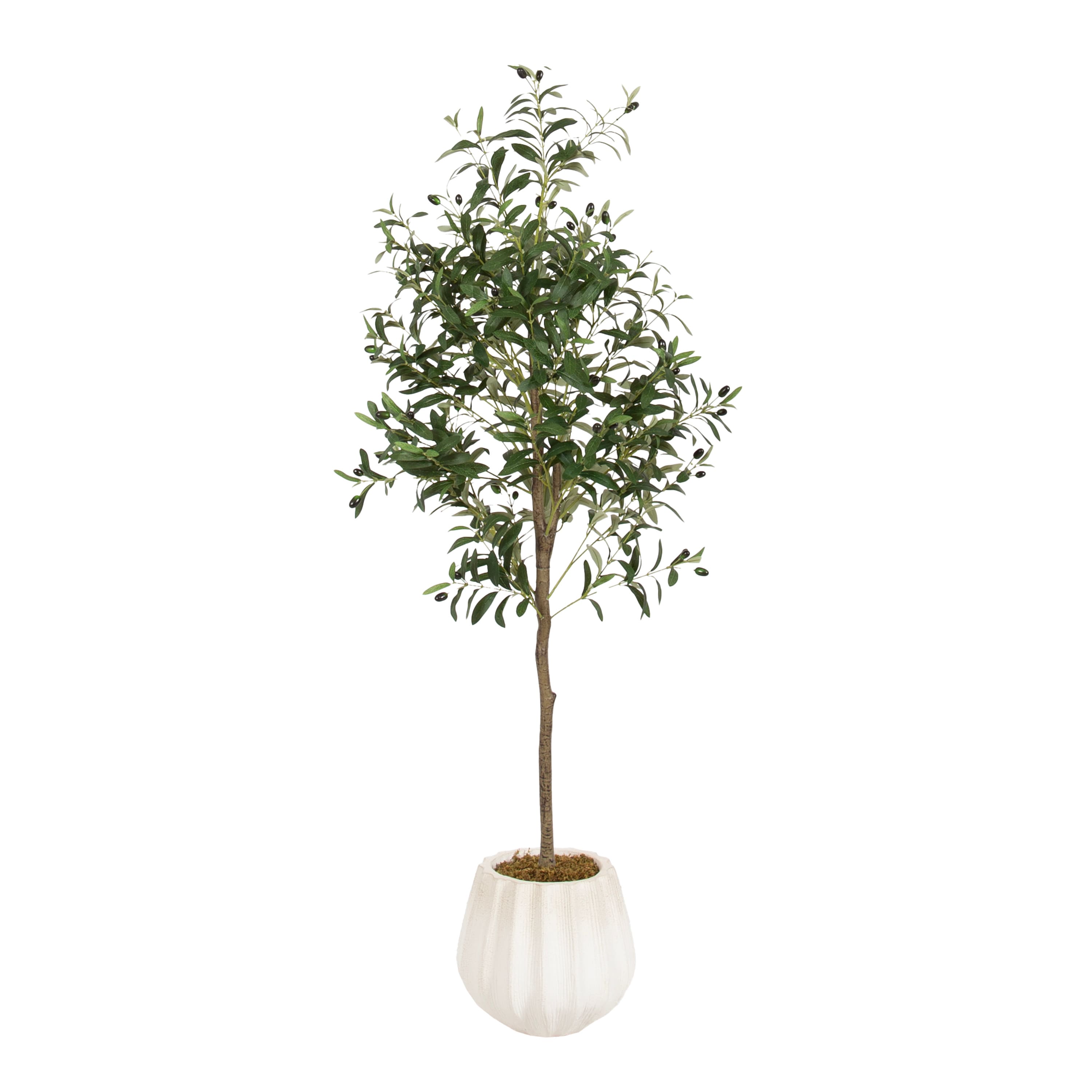 Kate and Laurel 5ft. Oliveira Faux Olive Tree in Claudel Scalloped Distressed White Planter